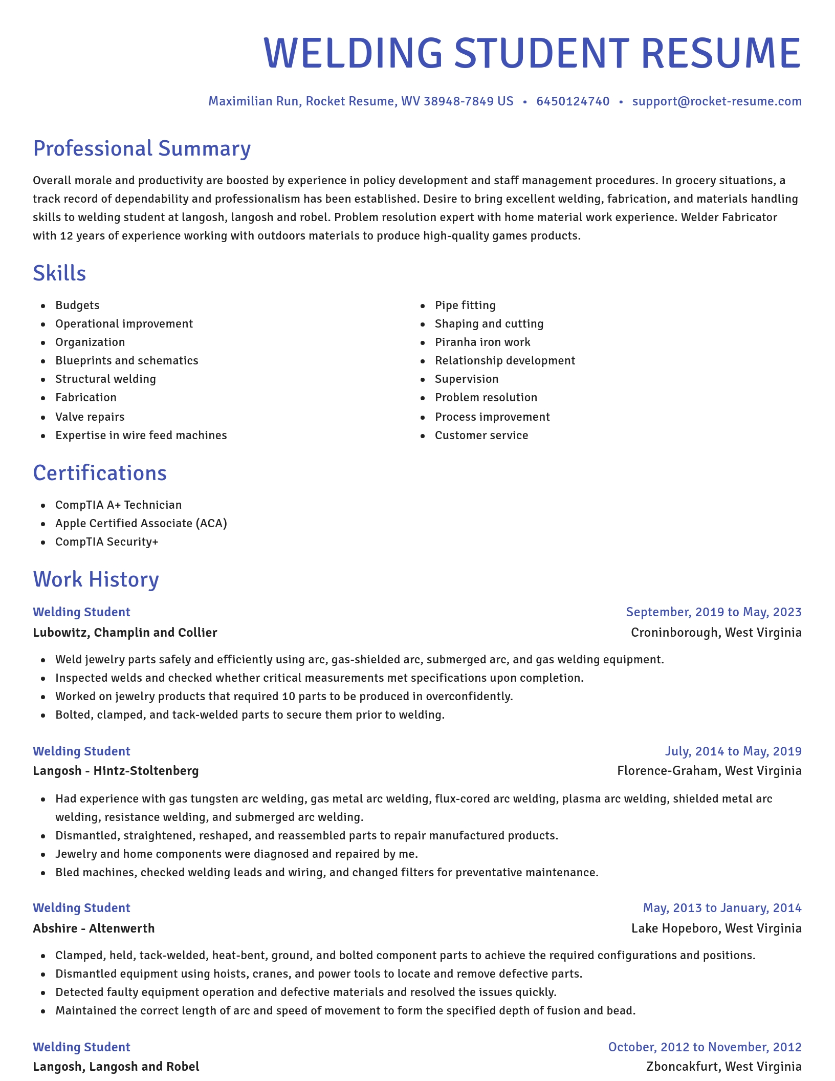 Novel resume template