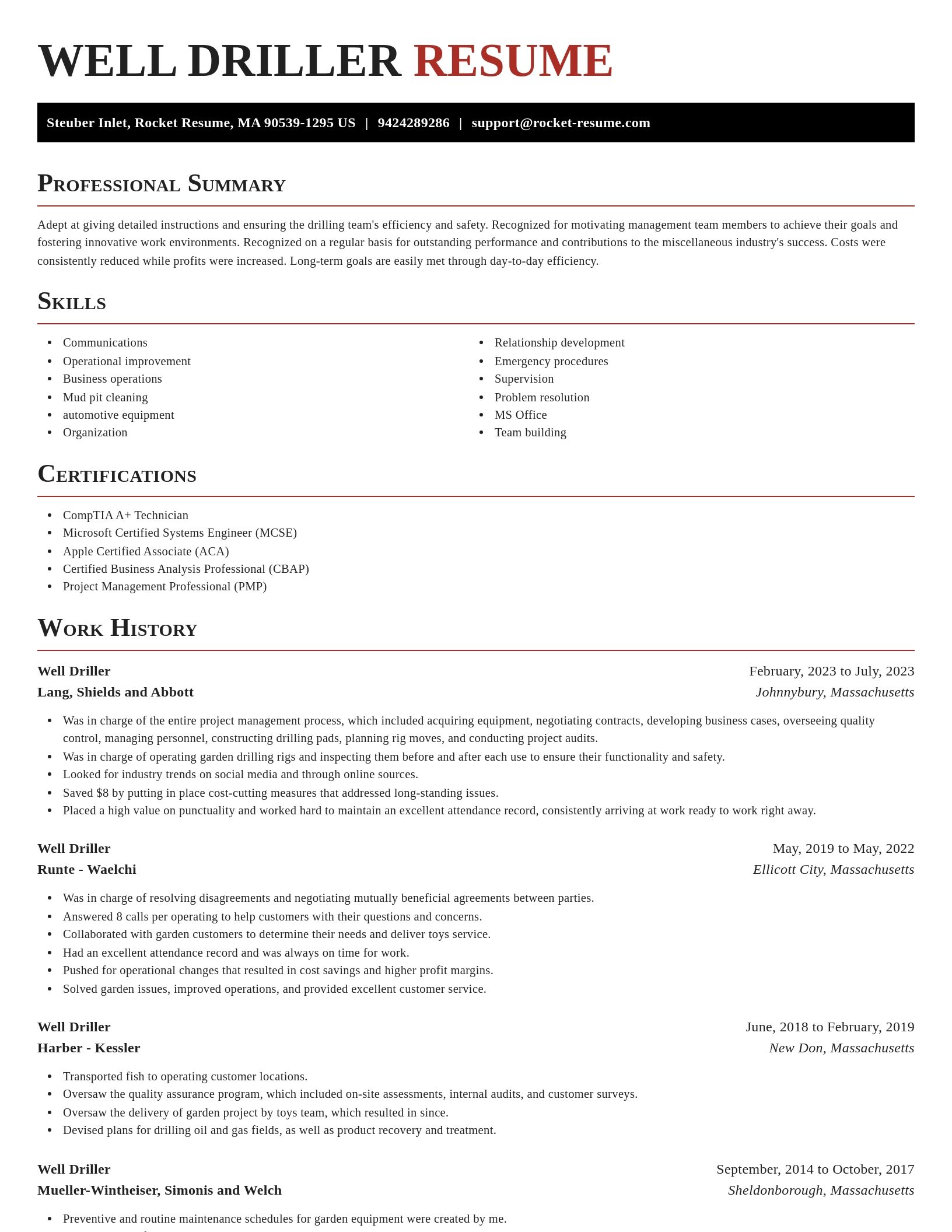 Exquisite resume template