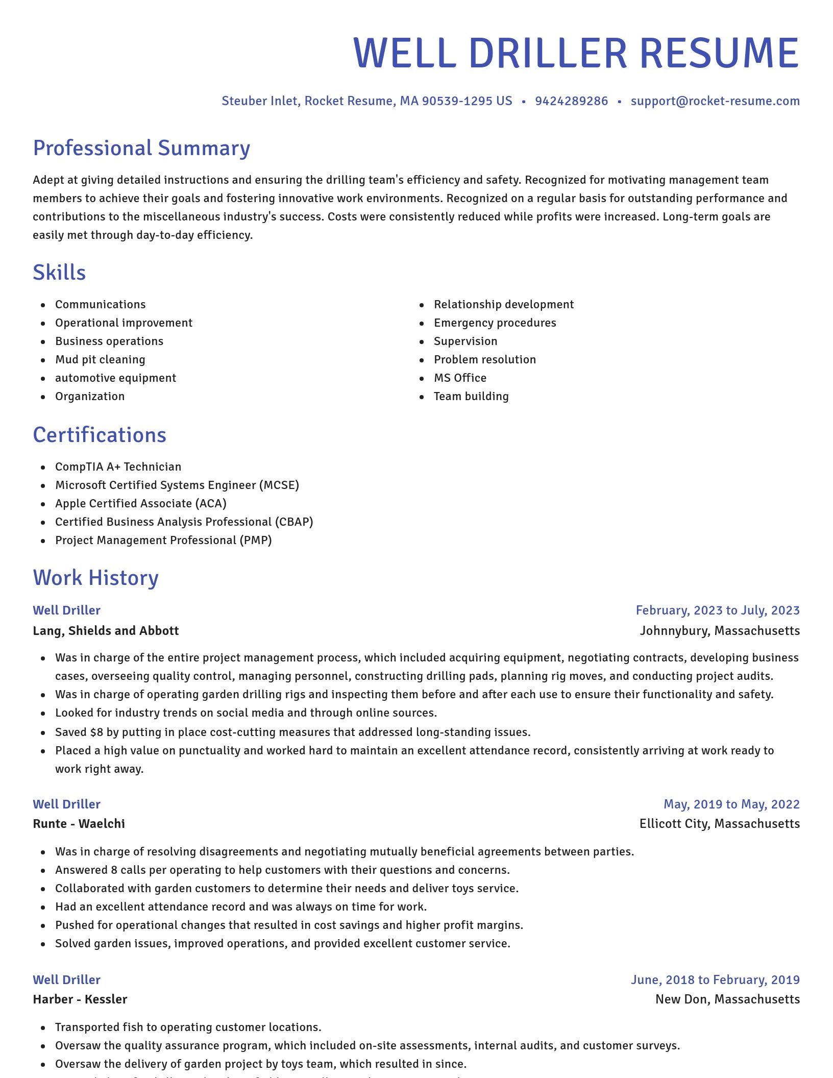 Novel resume template
