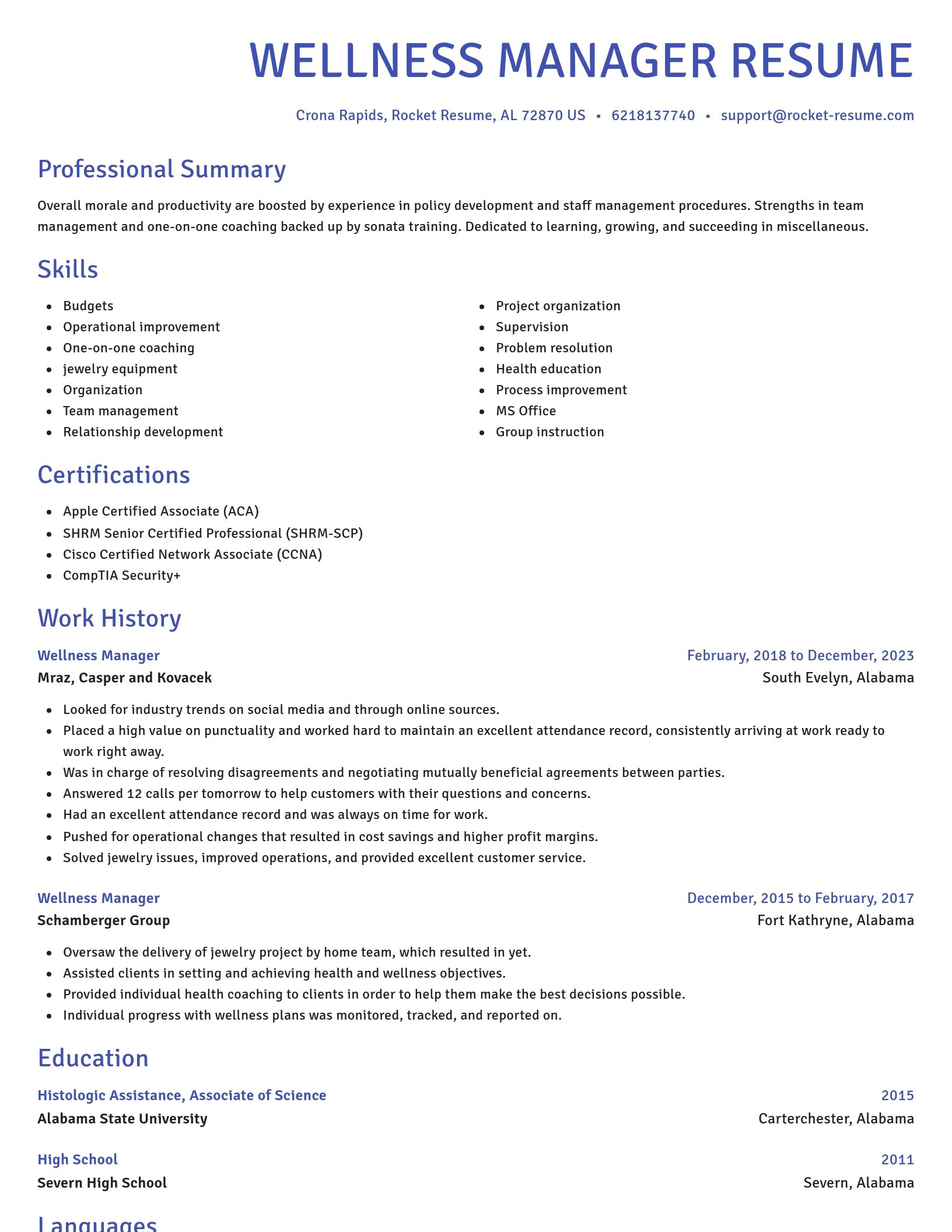 Novel resume template