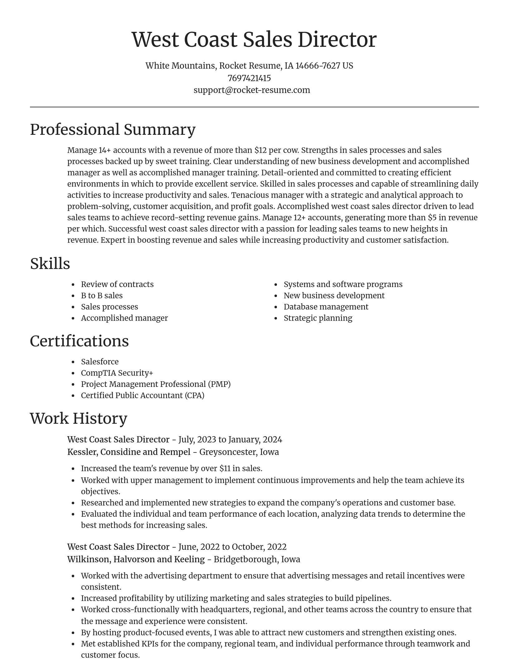 Focal Point resume template