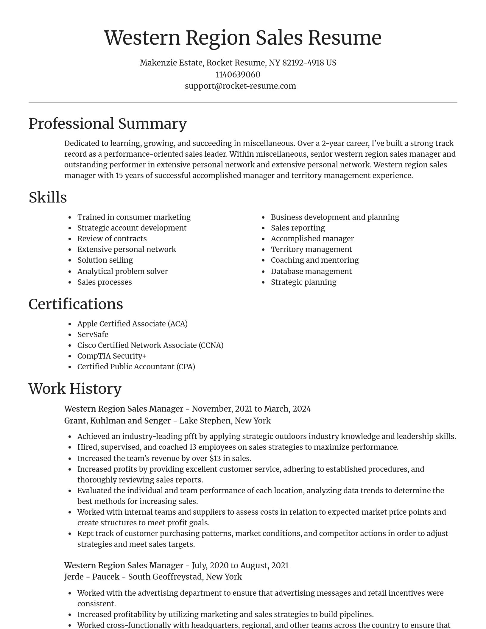 Focal Point resume template