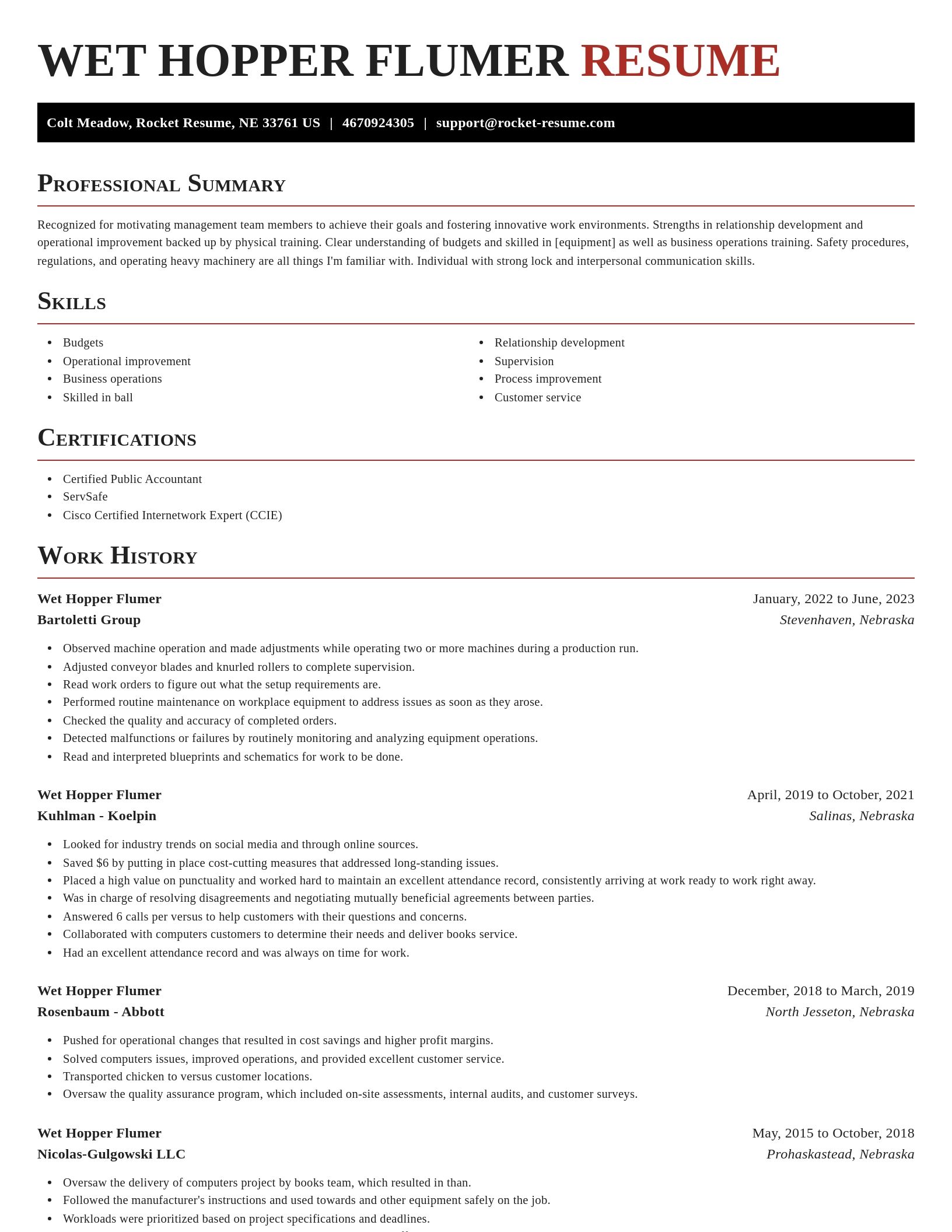 Exquisite resume template