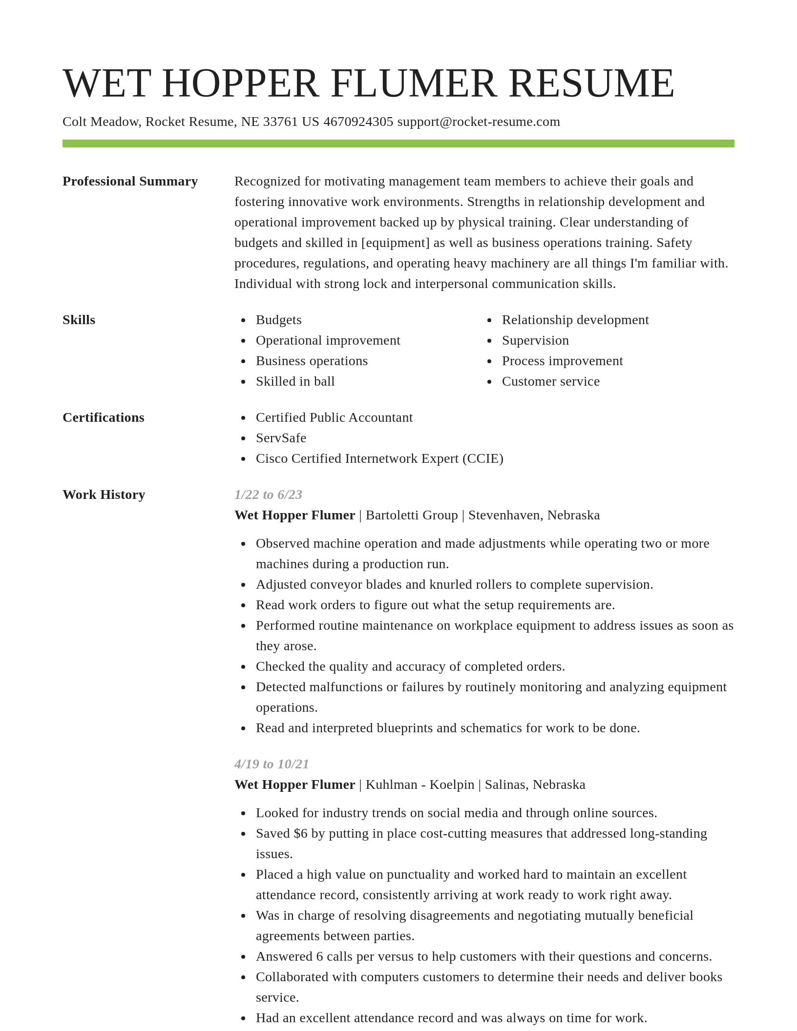 Smart resume template