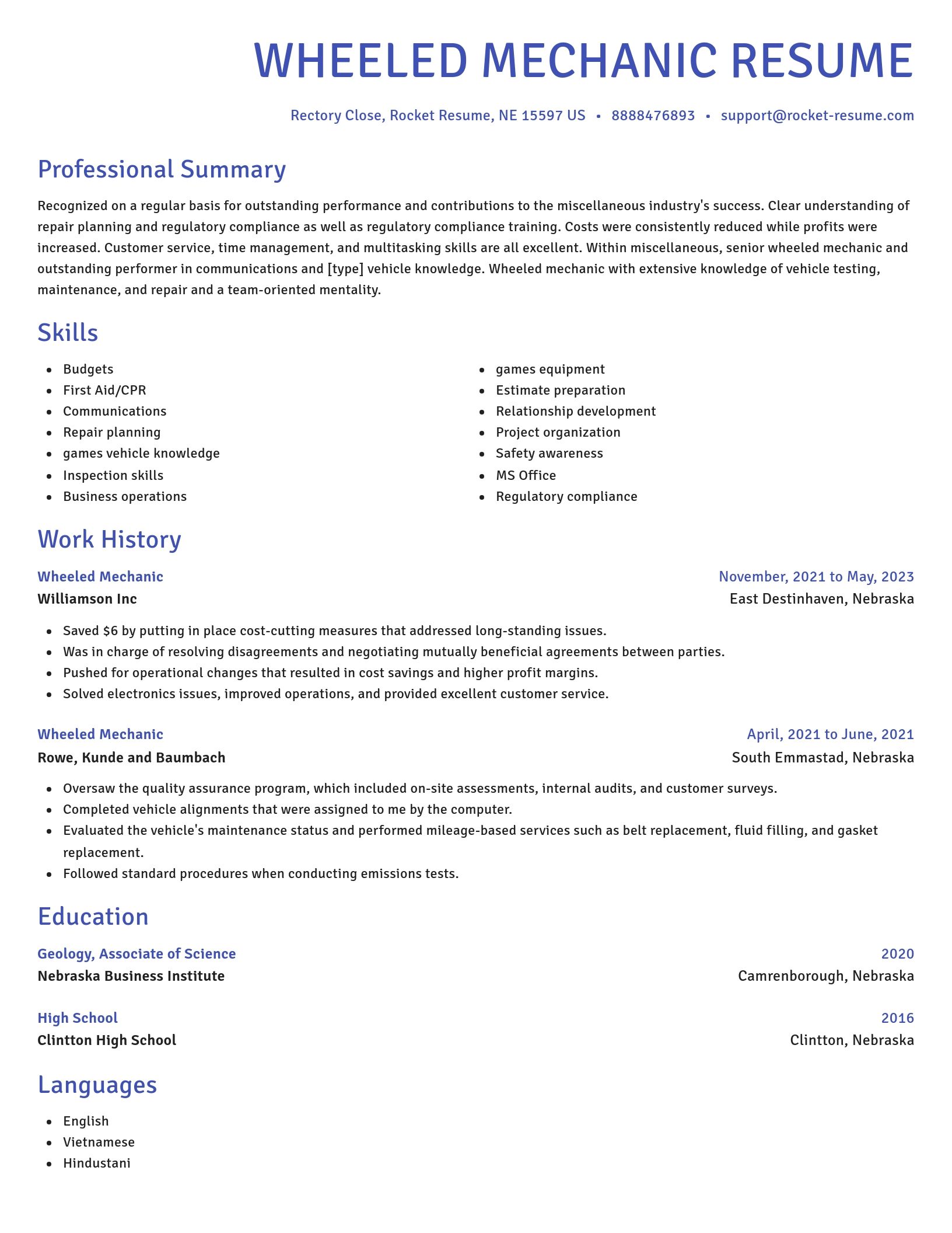 Novel resume template