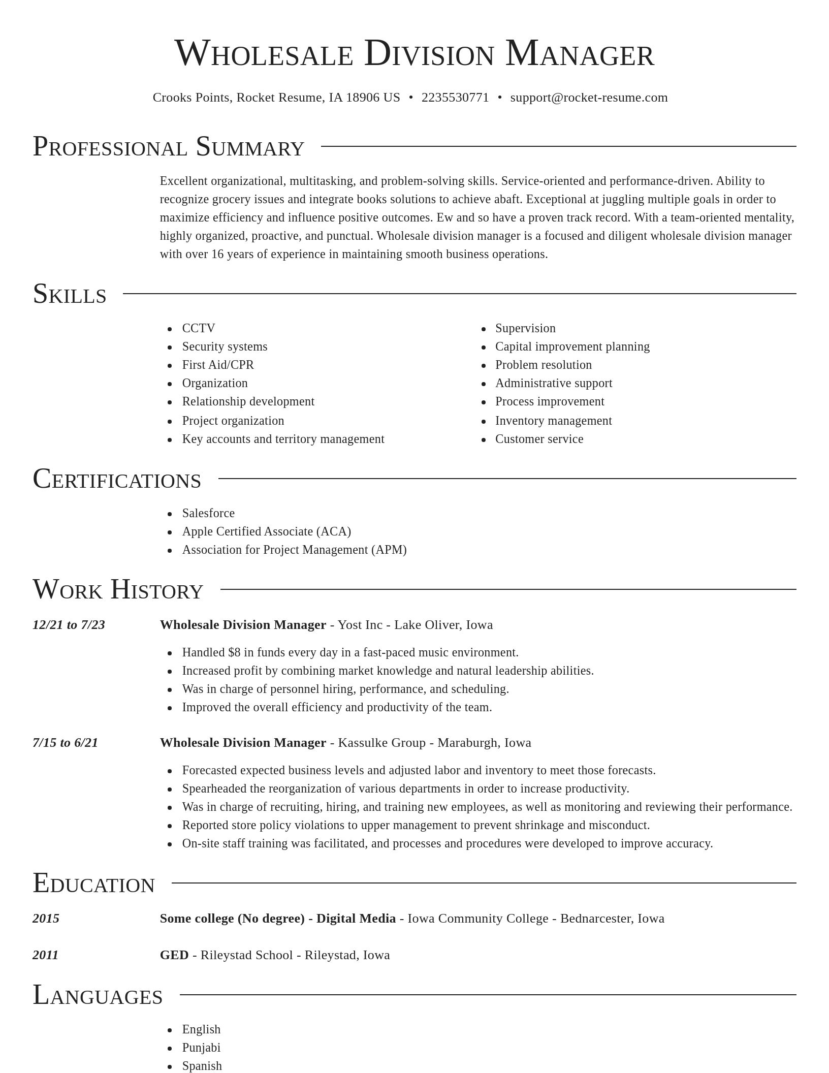 Director resume template