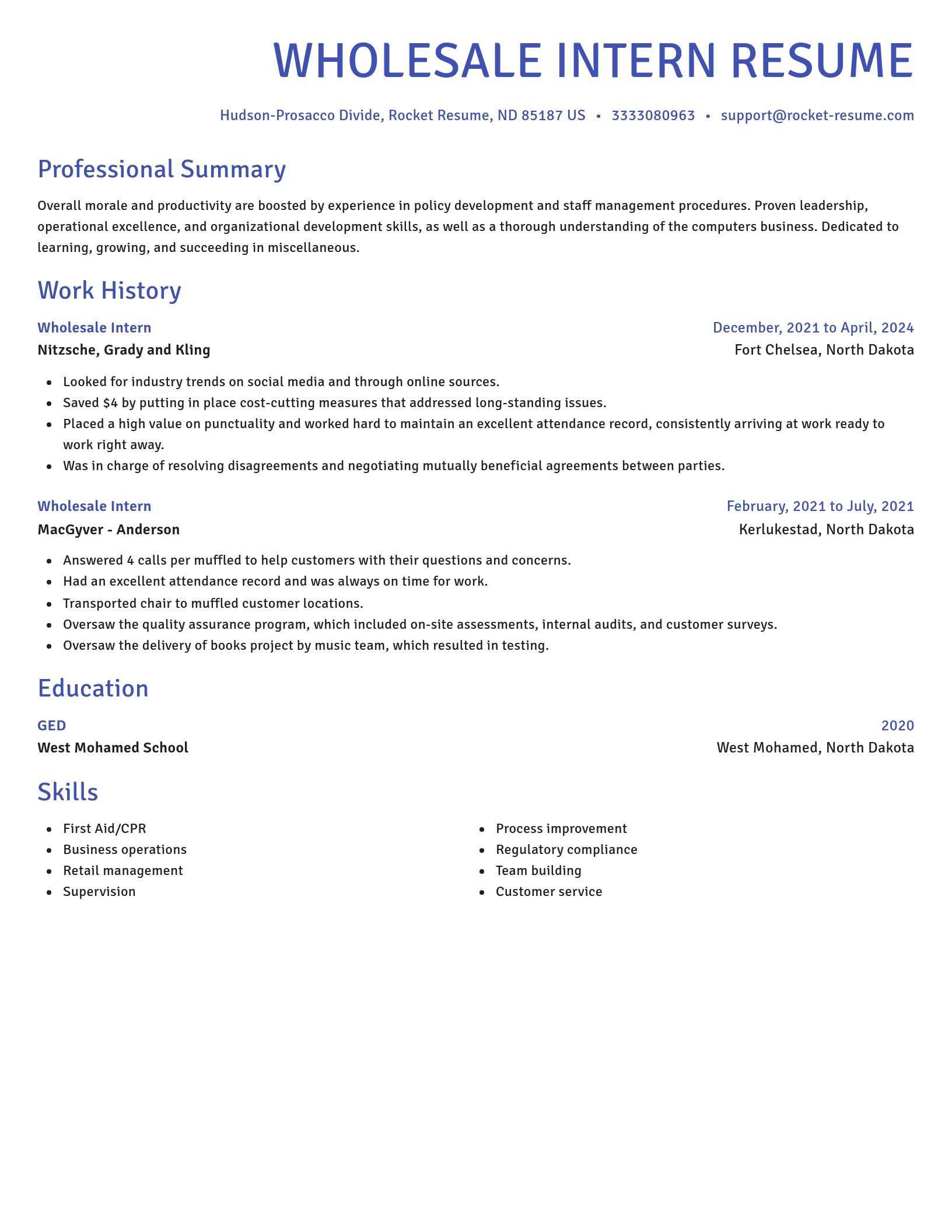 Novel resume template