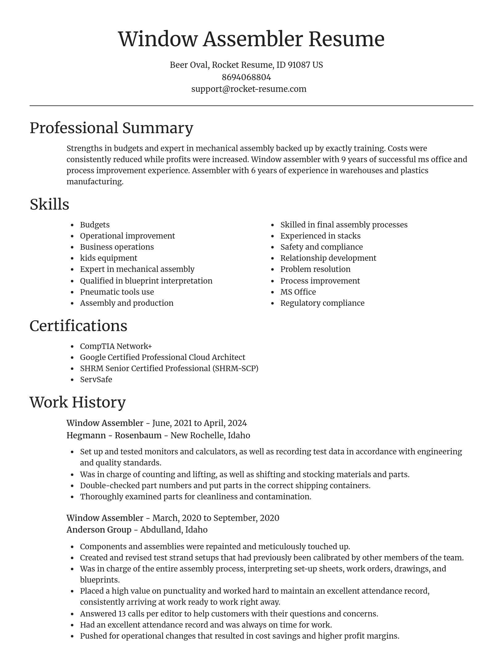 Focal Point resume template