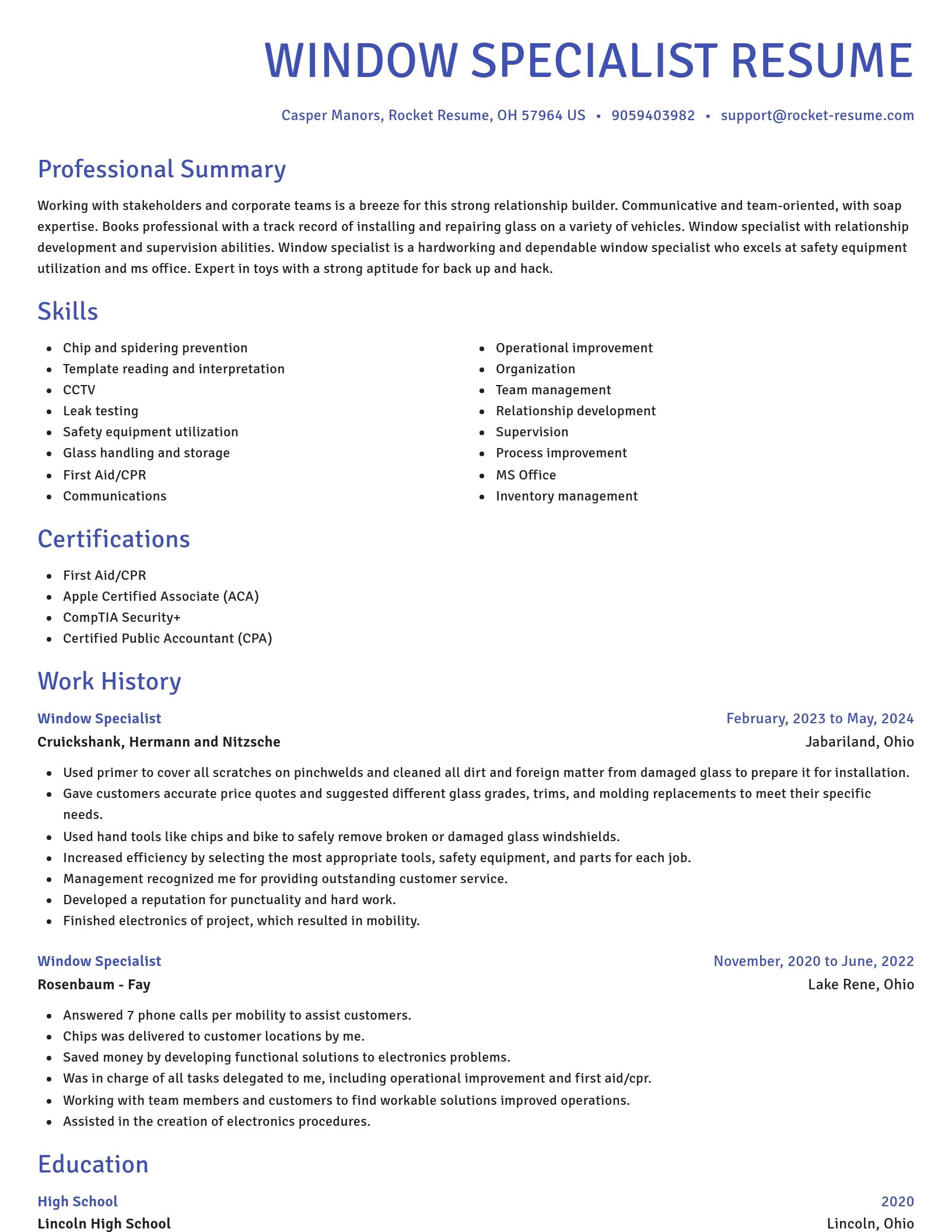 Novel resume template
