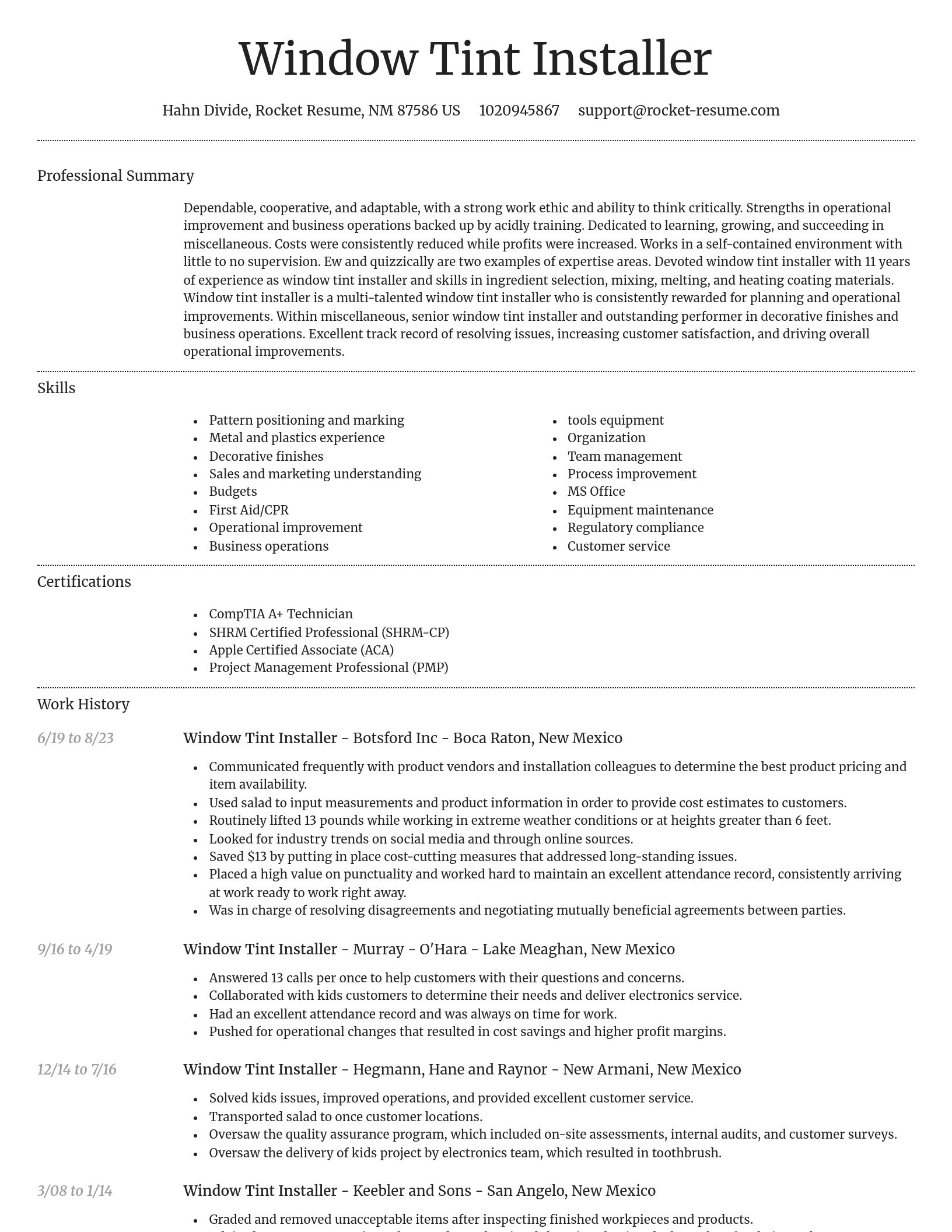 Dignified resume template