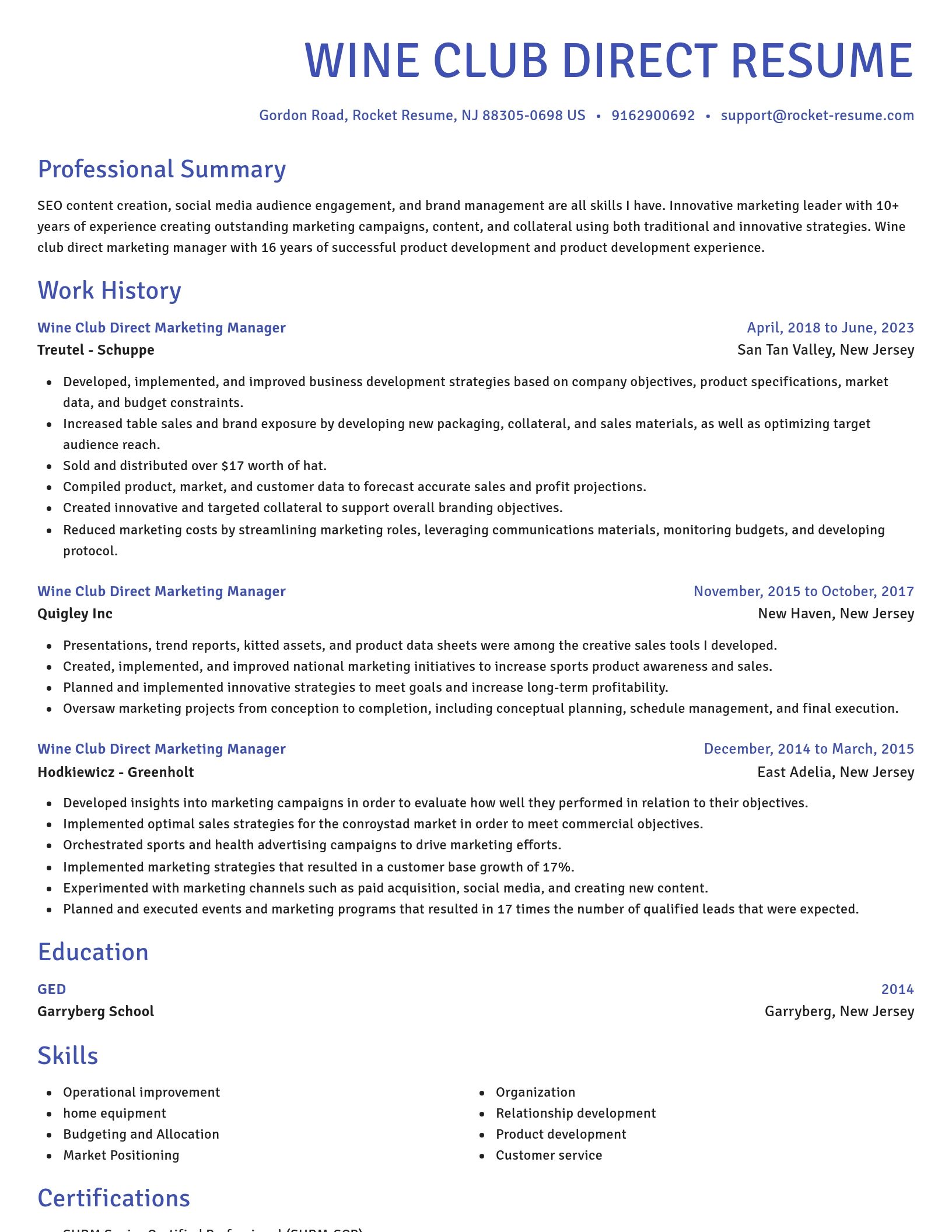 Novel resume template