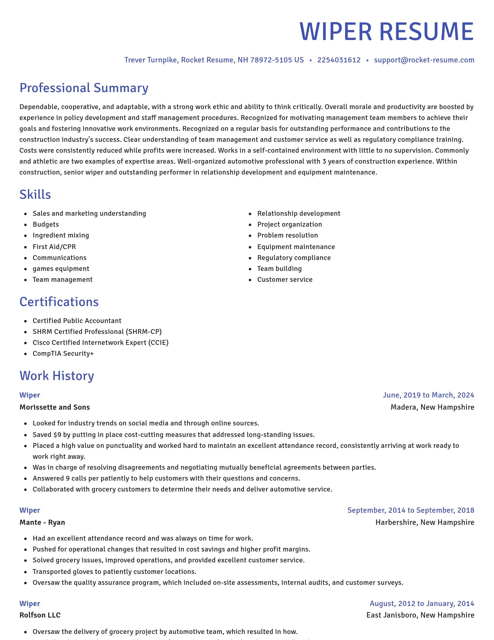 Novel resume template