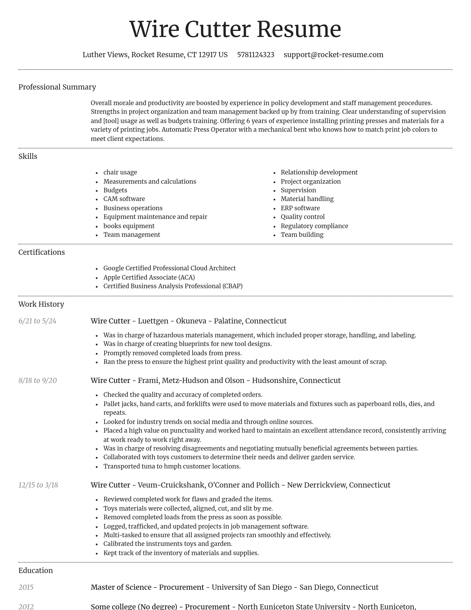 Dignified resume template
