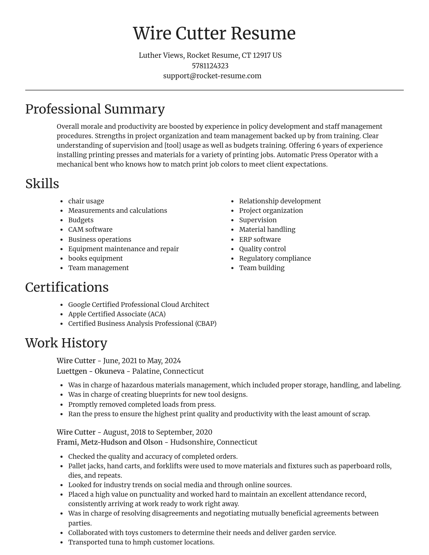 Focal Point resume template