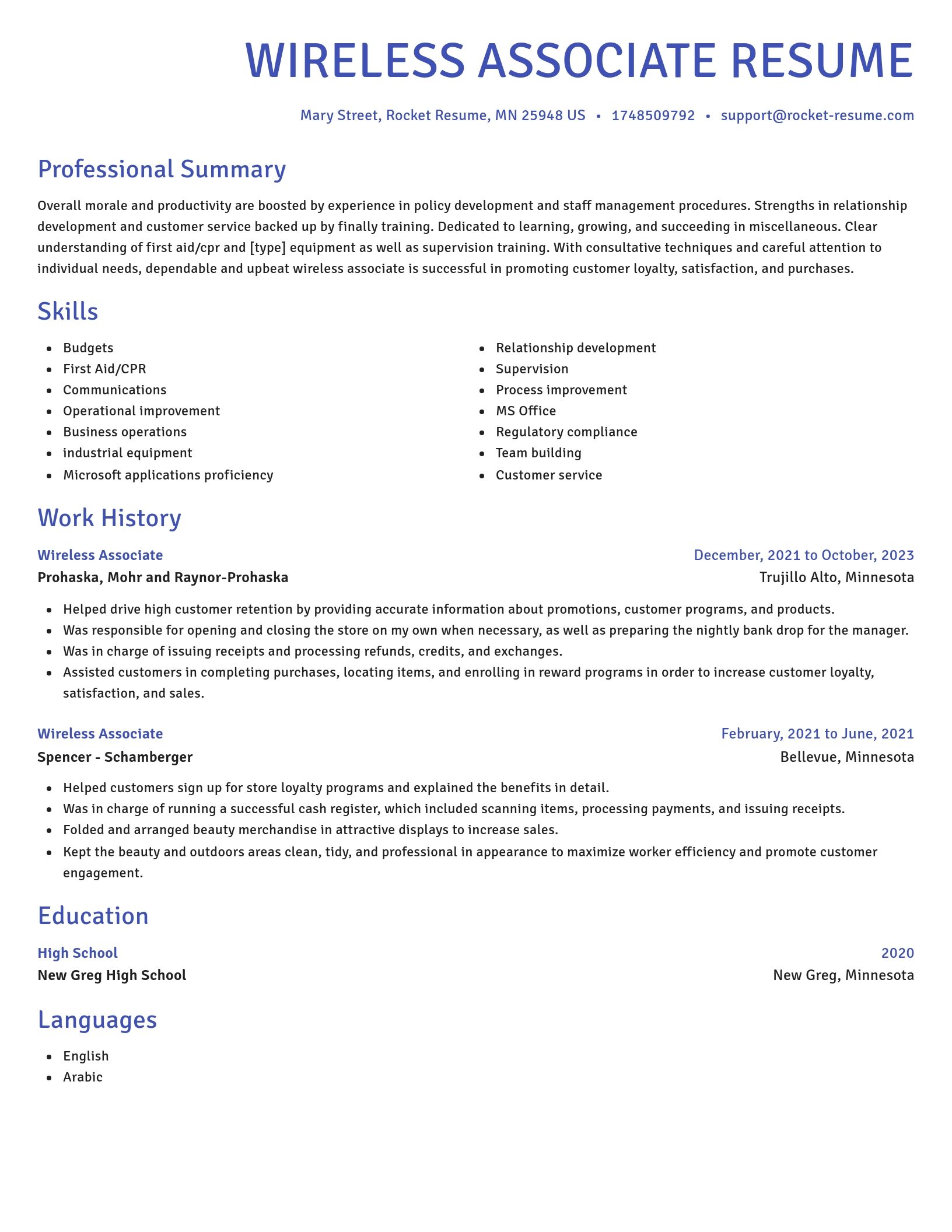 Novel resume template