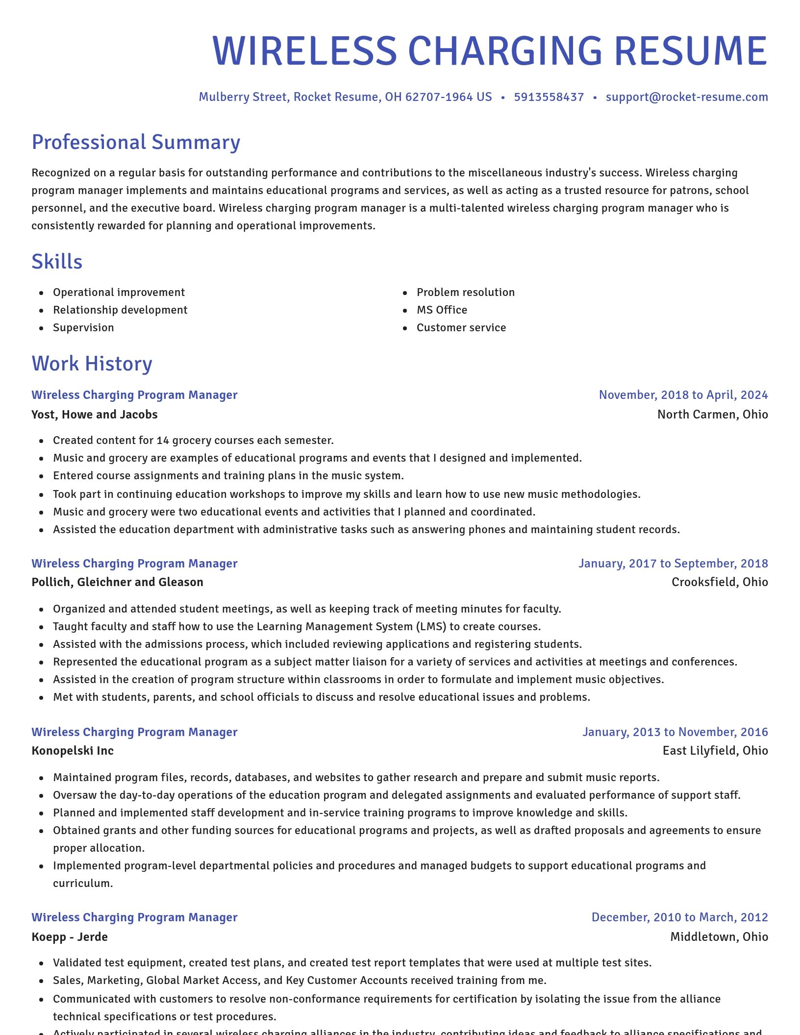 Novel resume template