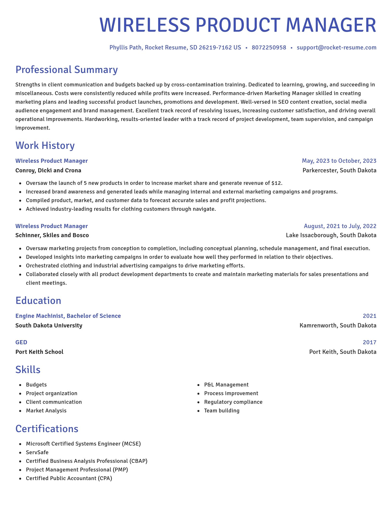 Novel resume template