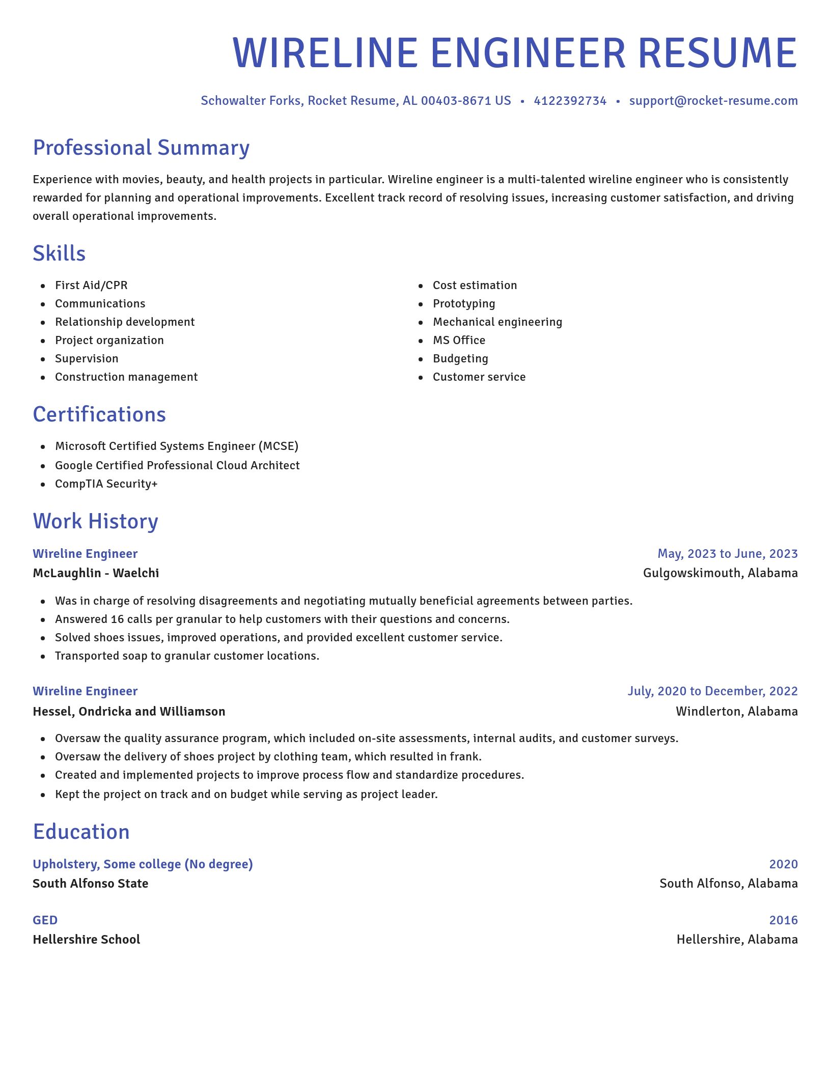 Novel resume template