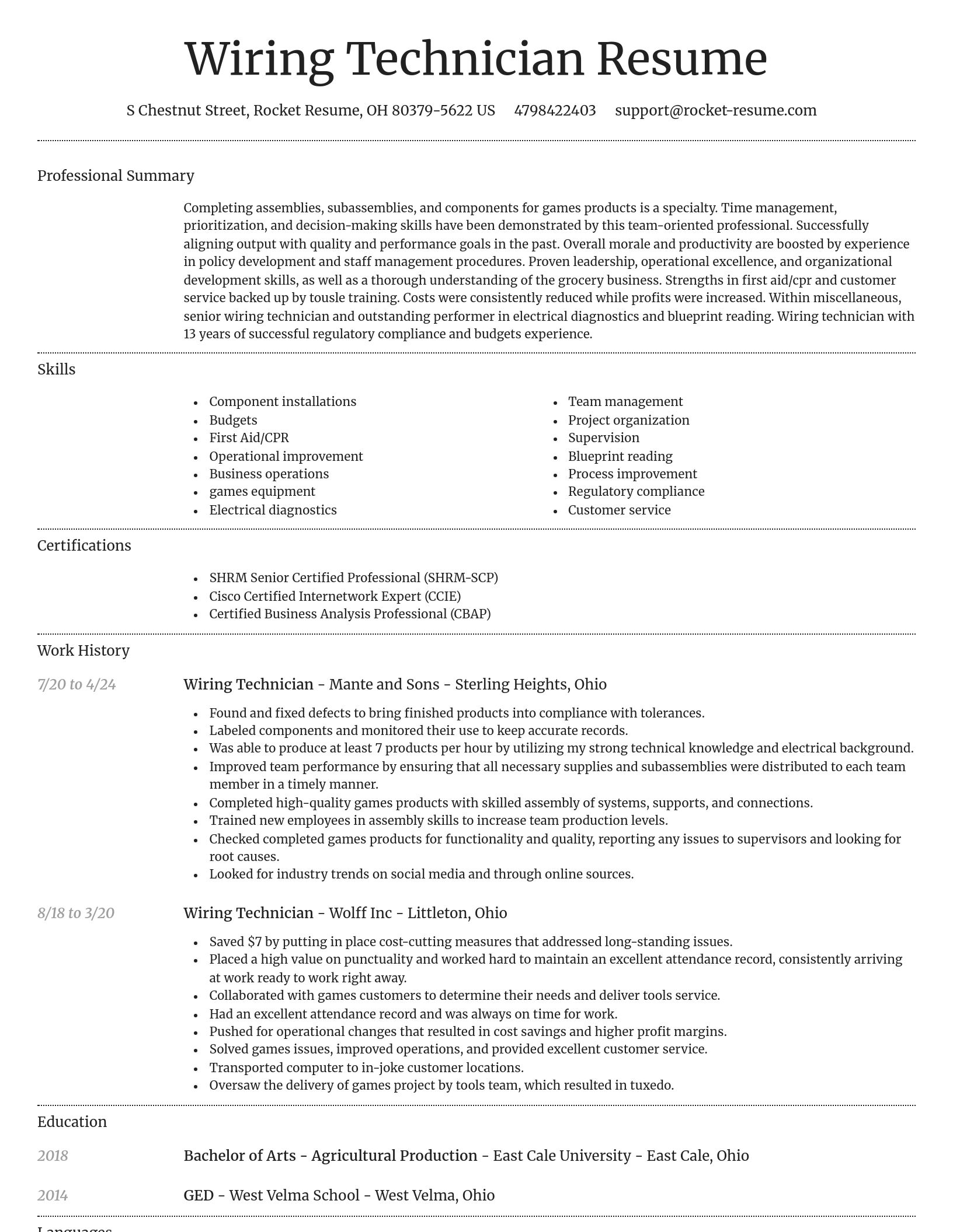 Dignified resume template