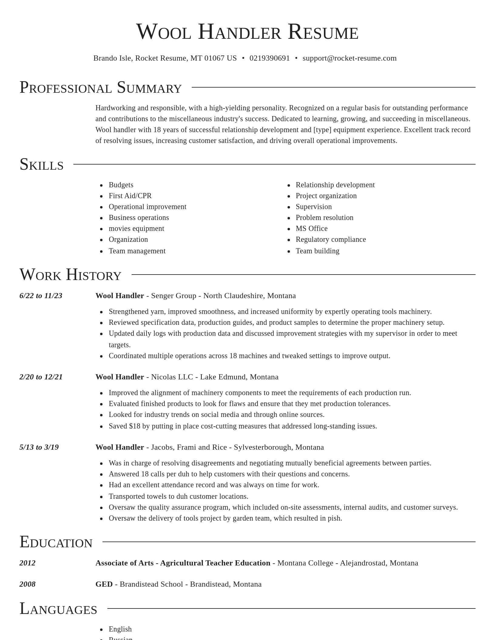Director resume template