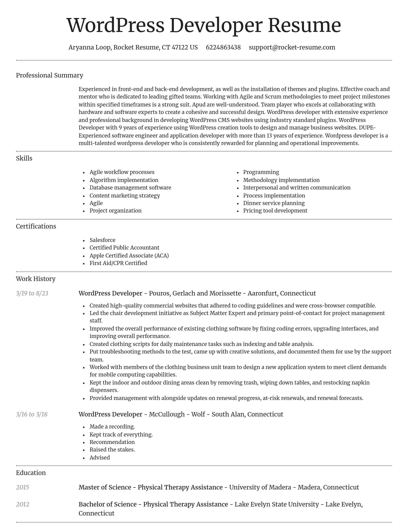 Dignified resume template