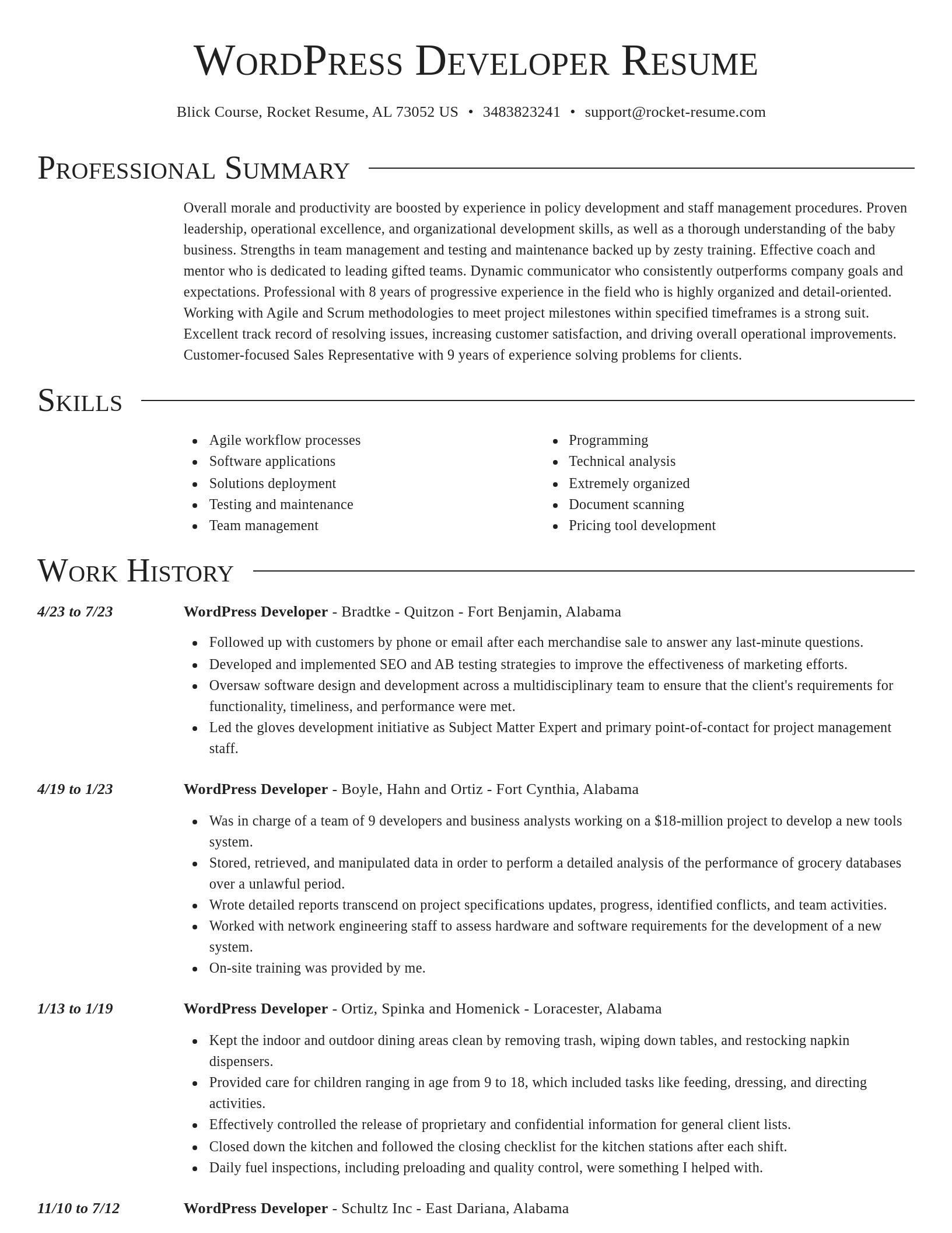 Director resume template