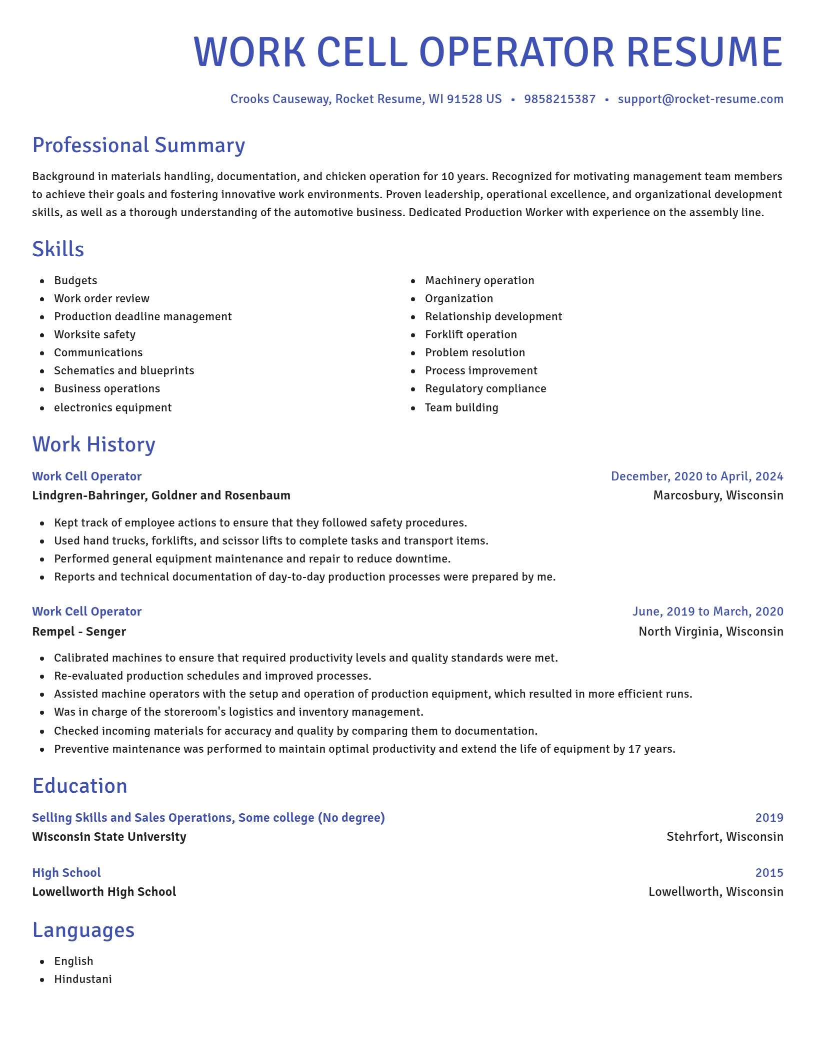 Novel resume template