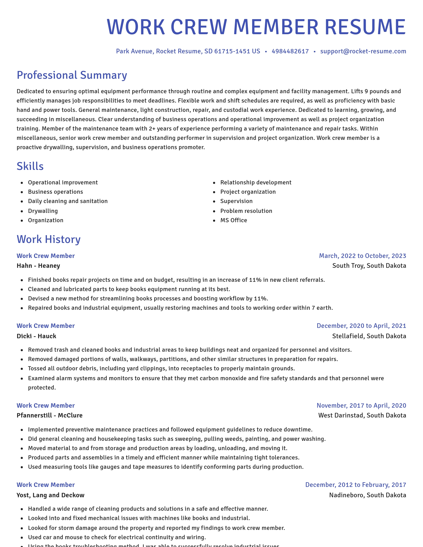 Novel resume template