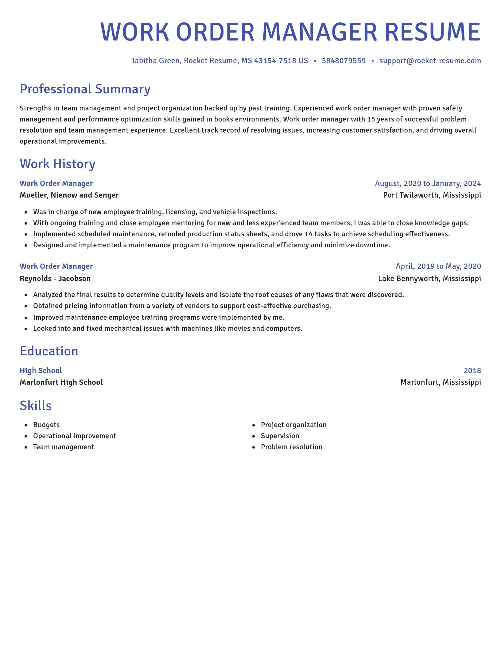 Novel resume template