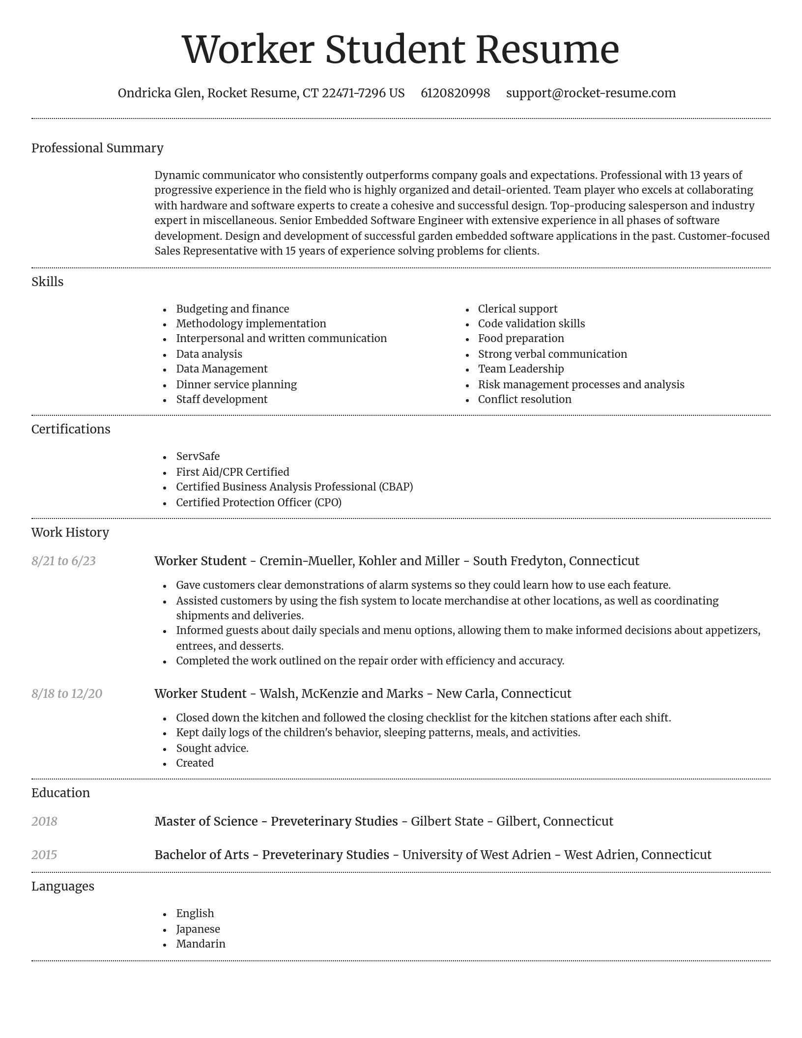 Dignified resume template