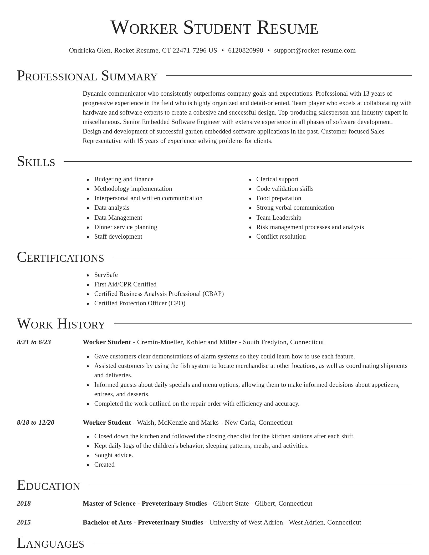 Director resume template