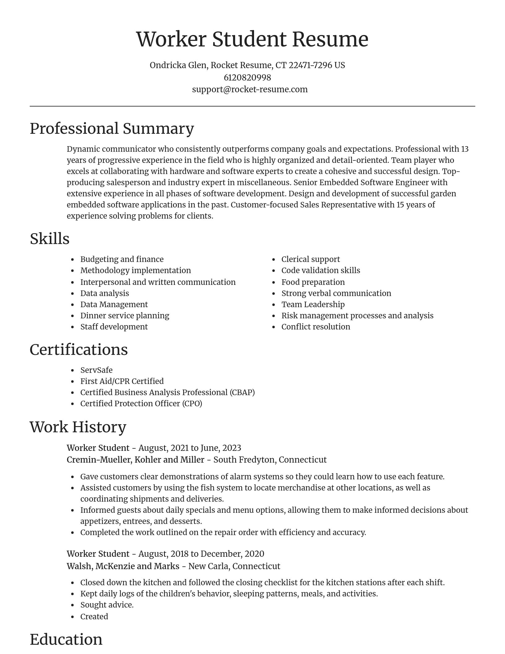 Focal Point resume template