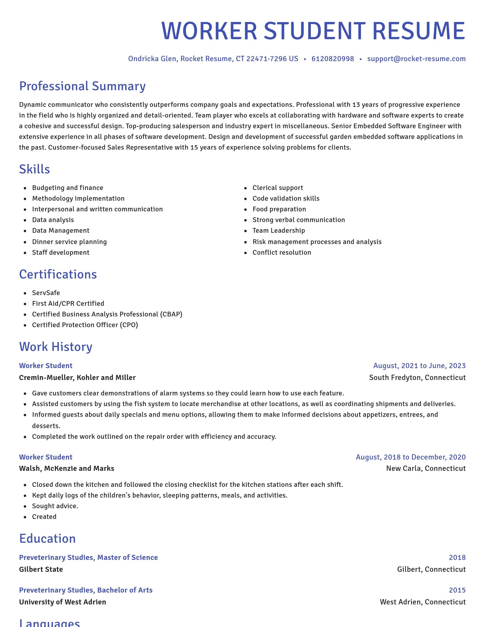 Novel resume template