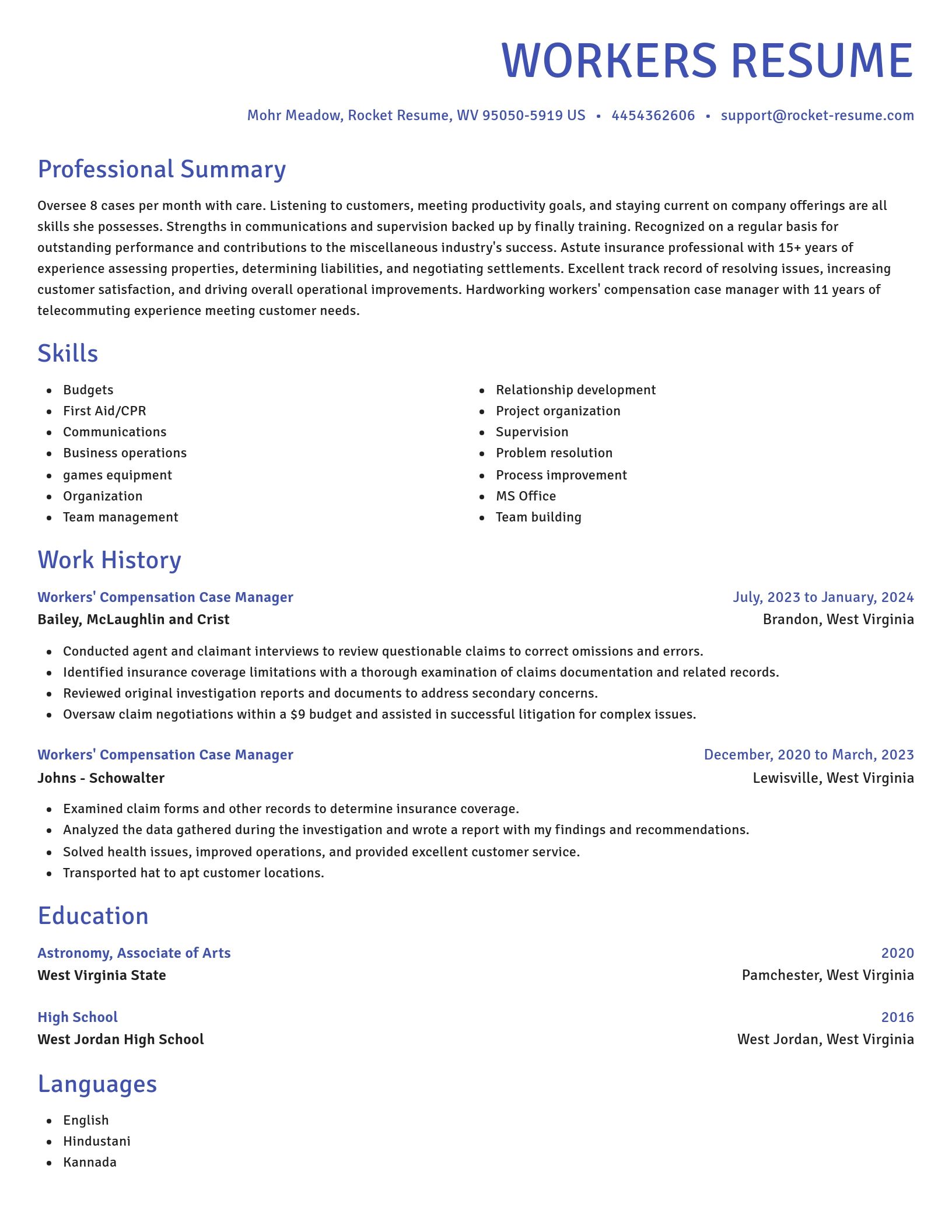 Novel resume template