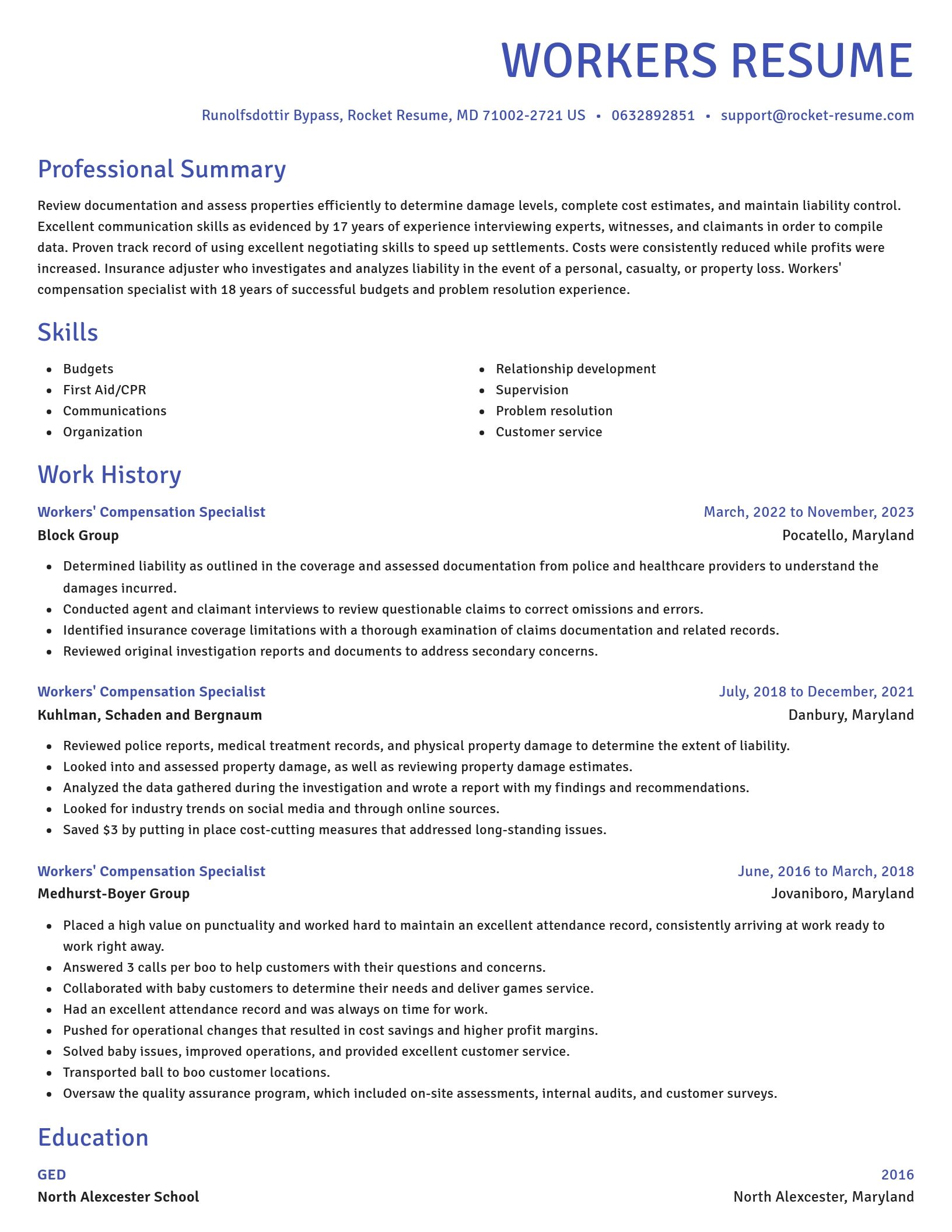 Novel resume template