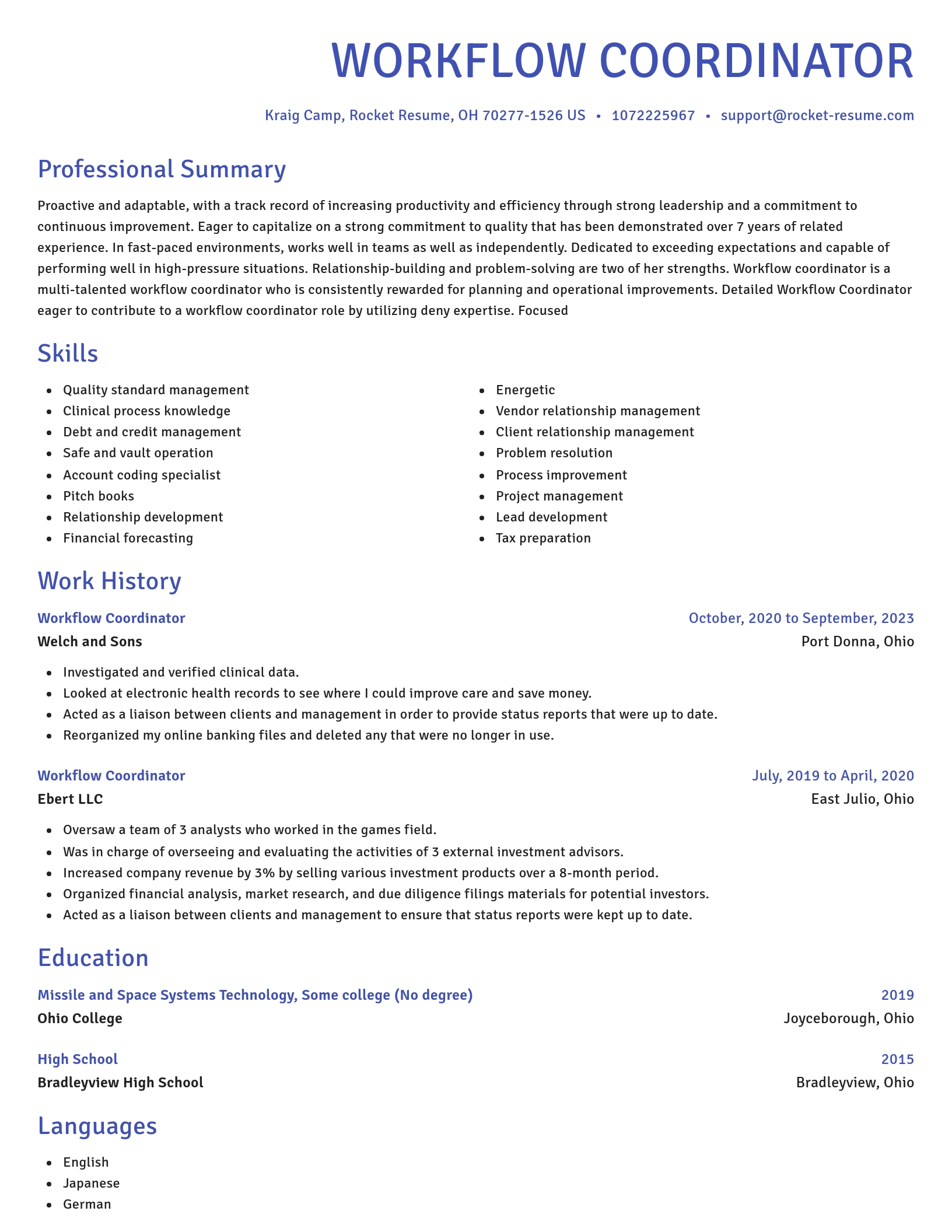 Novel resume template