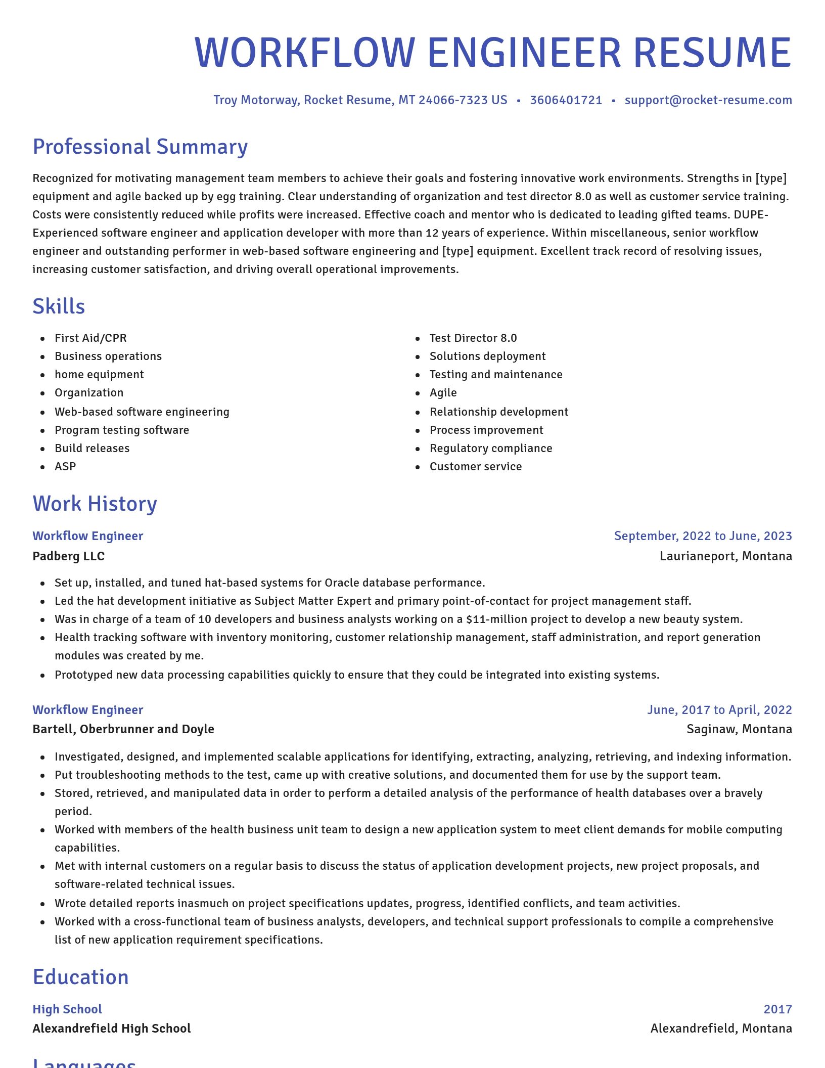 Novel resume template