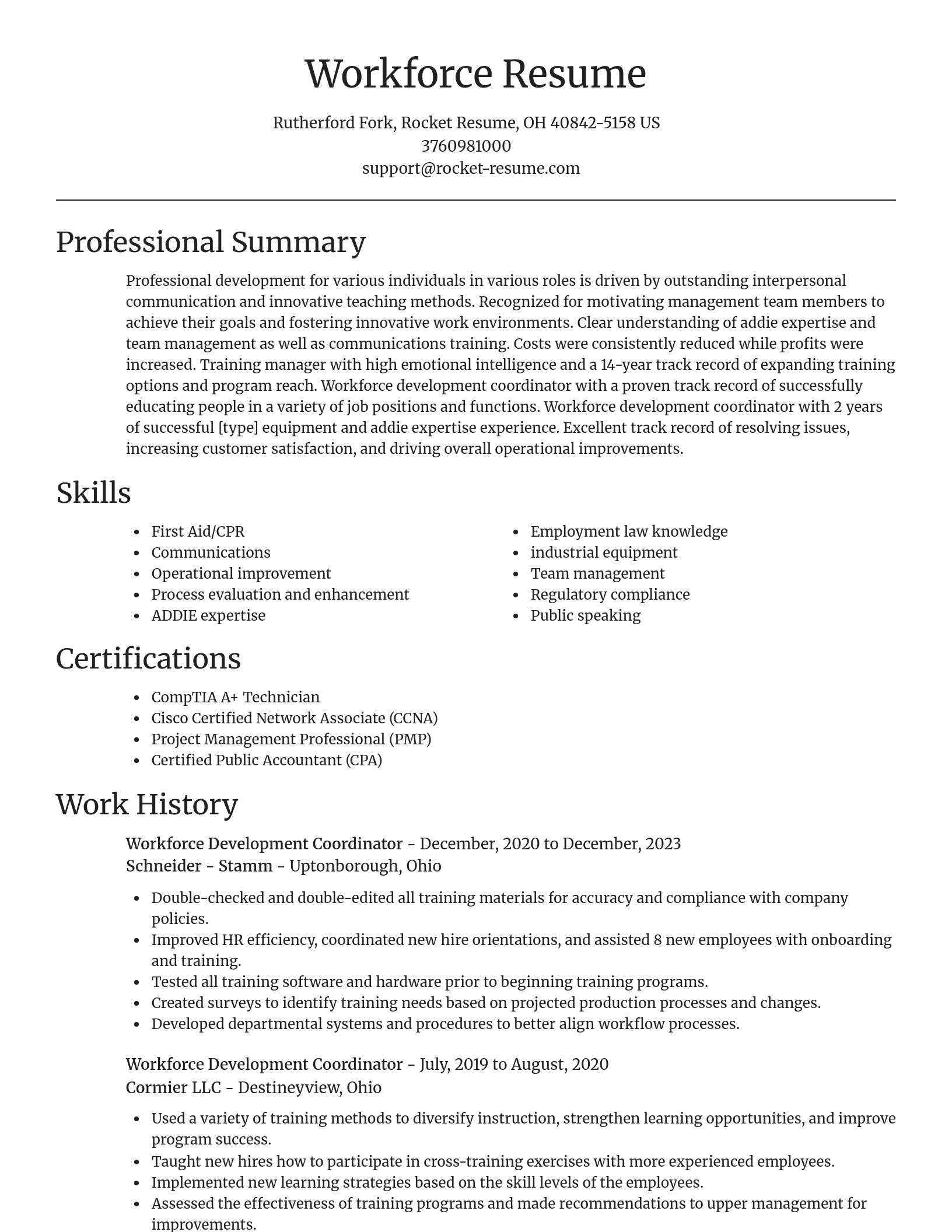 Focal Point resume template