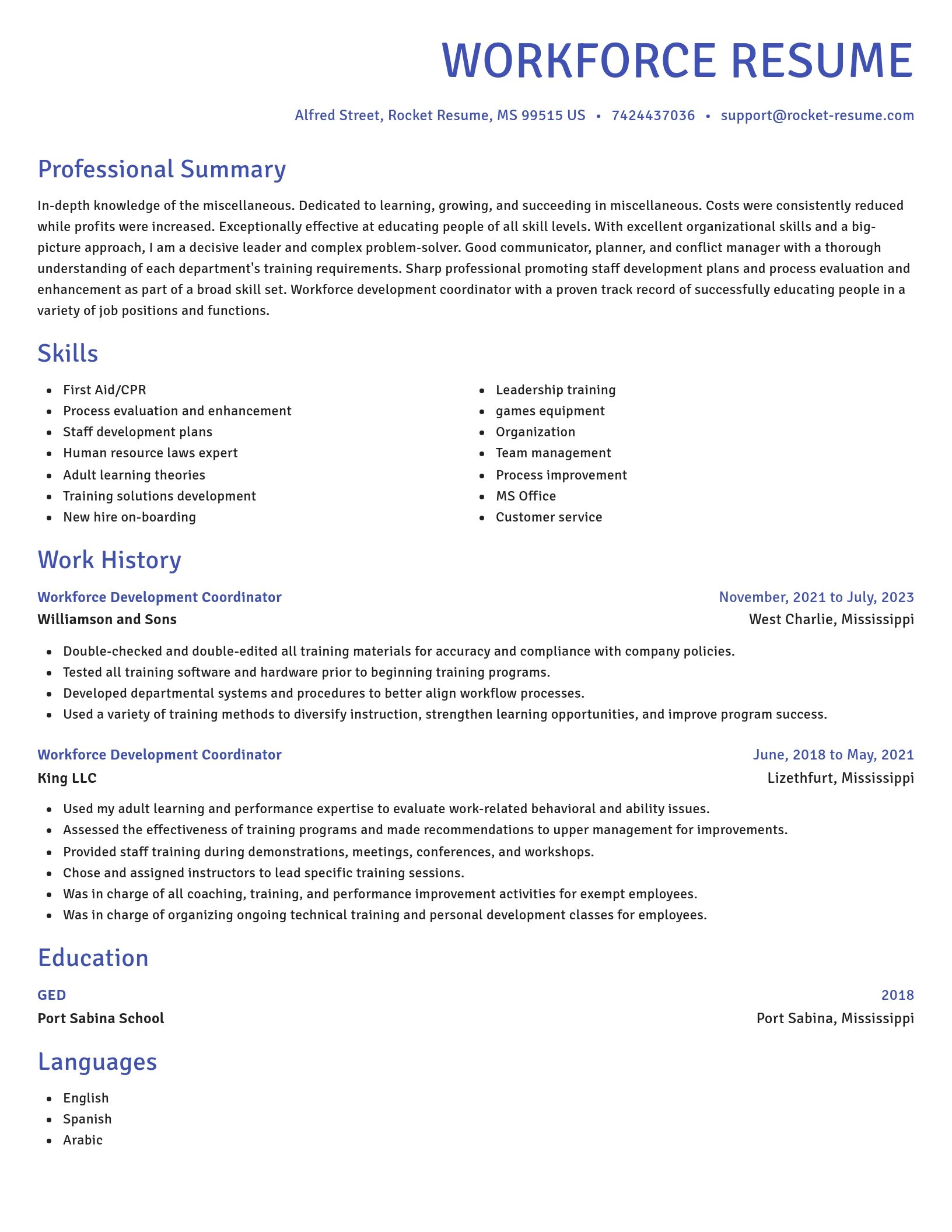 Novel resume template
