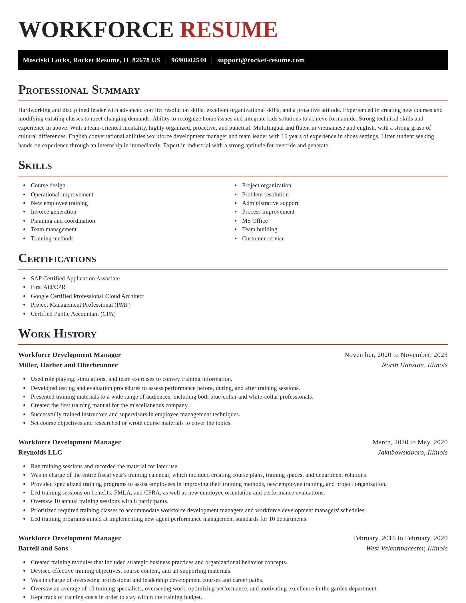 Exquisite resume template