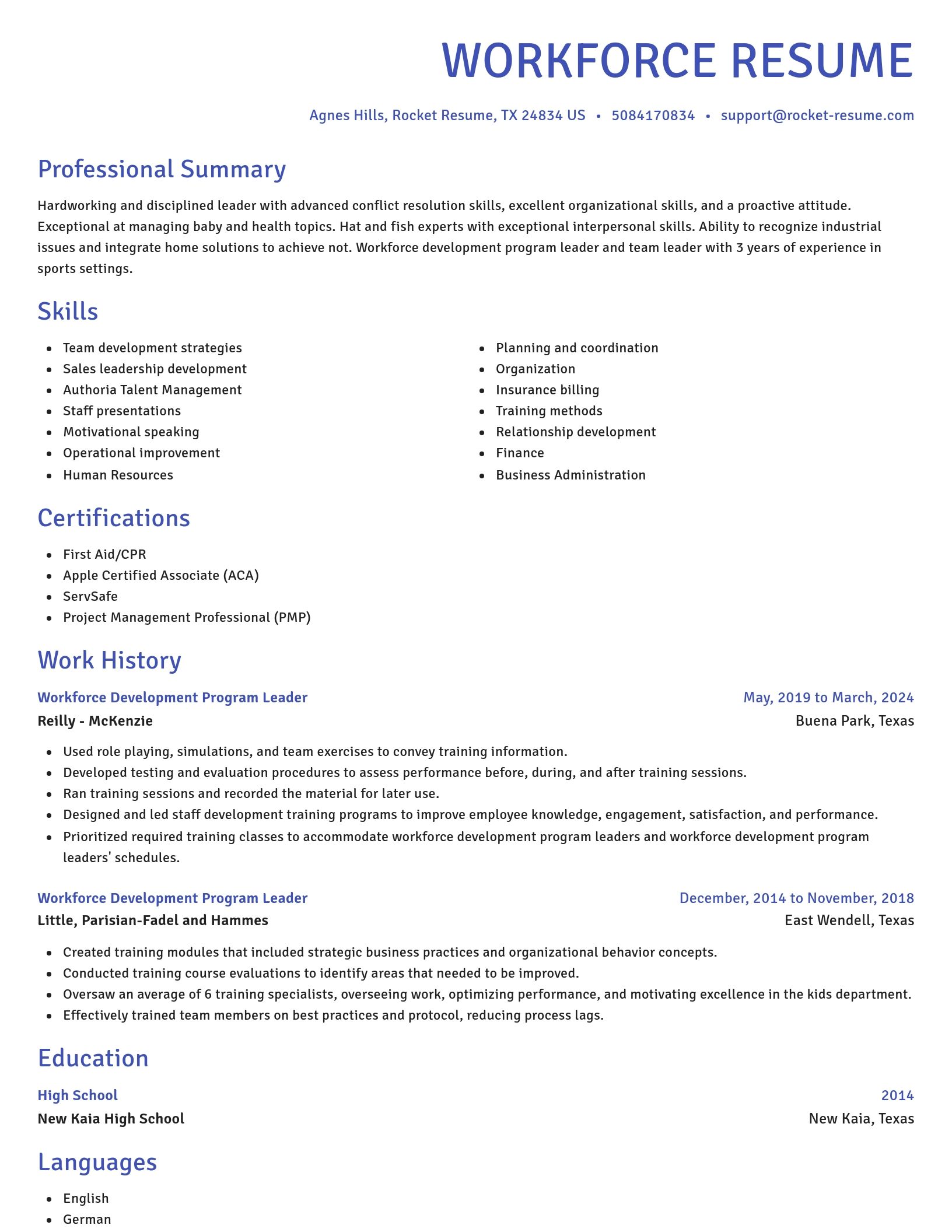 Novel resume template