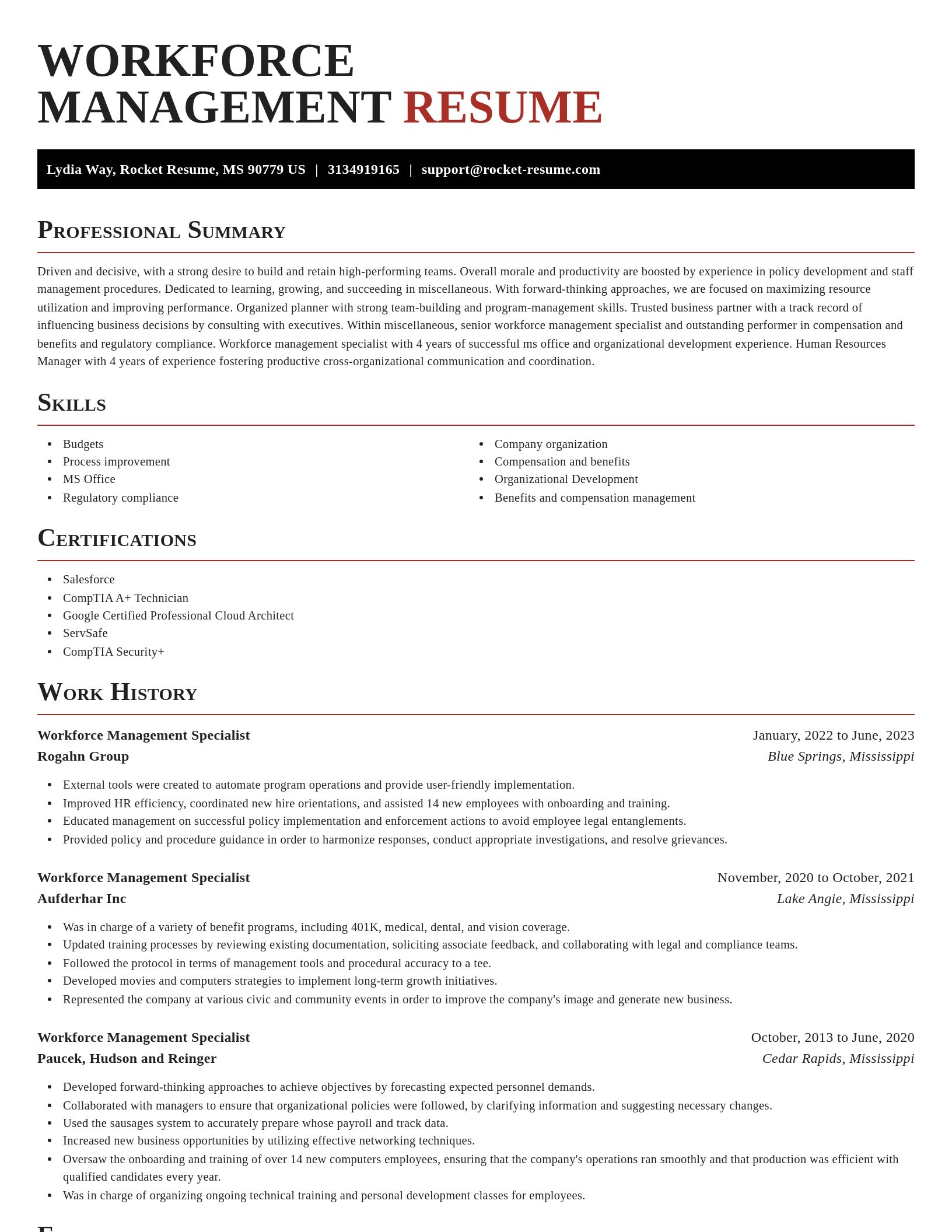 Exquisite resume template
