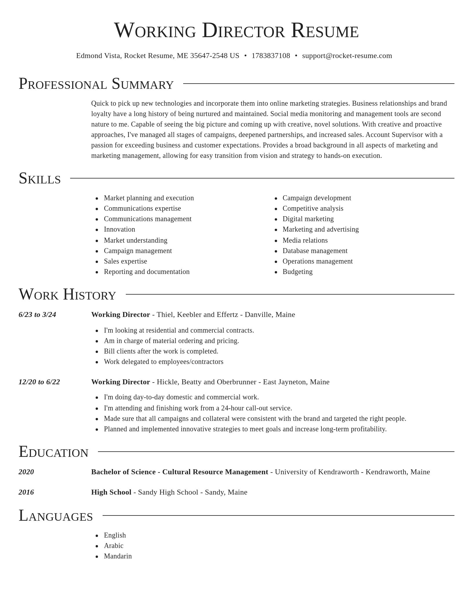 Director resume template