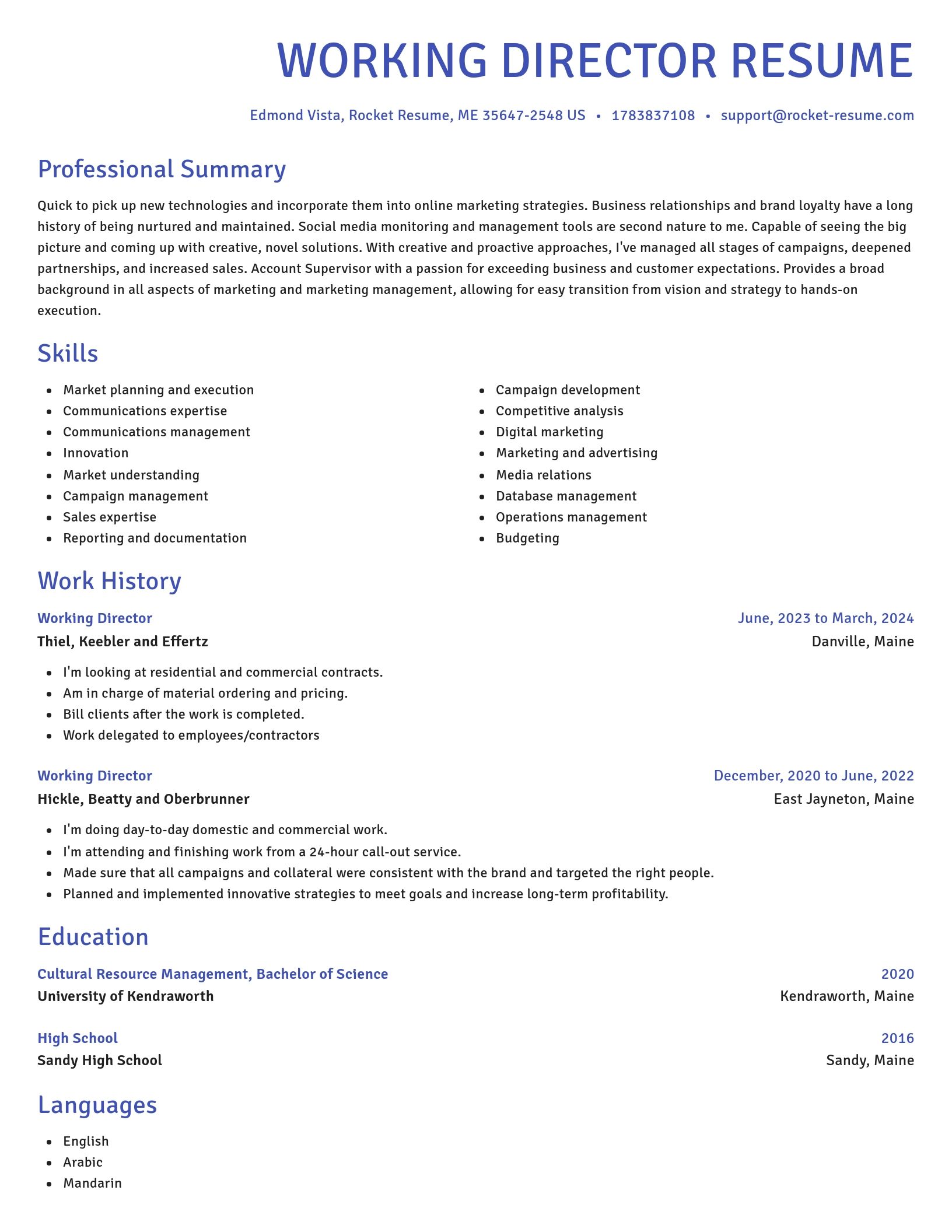 Novel resume template