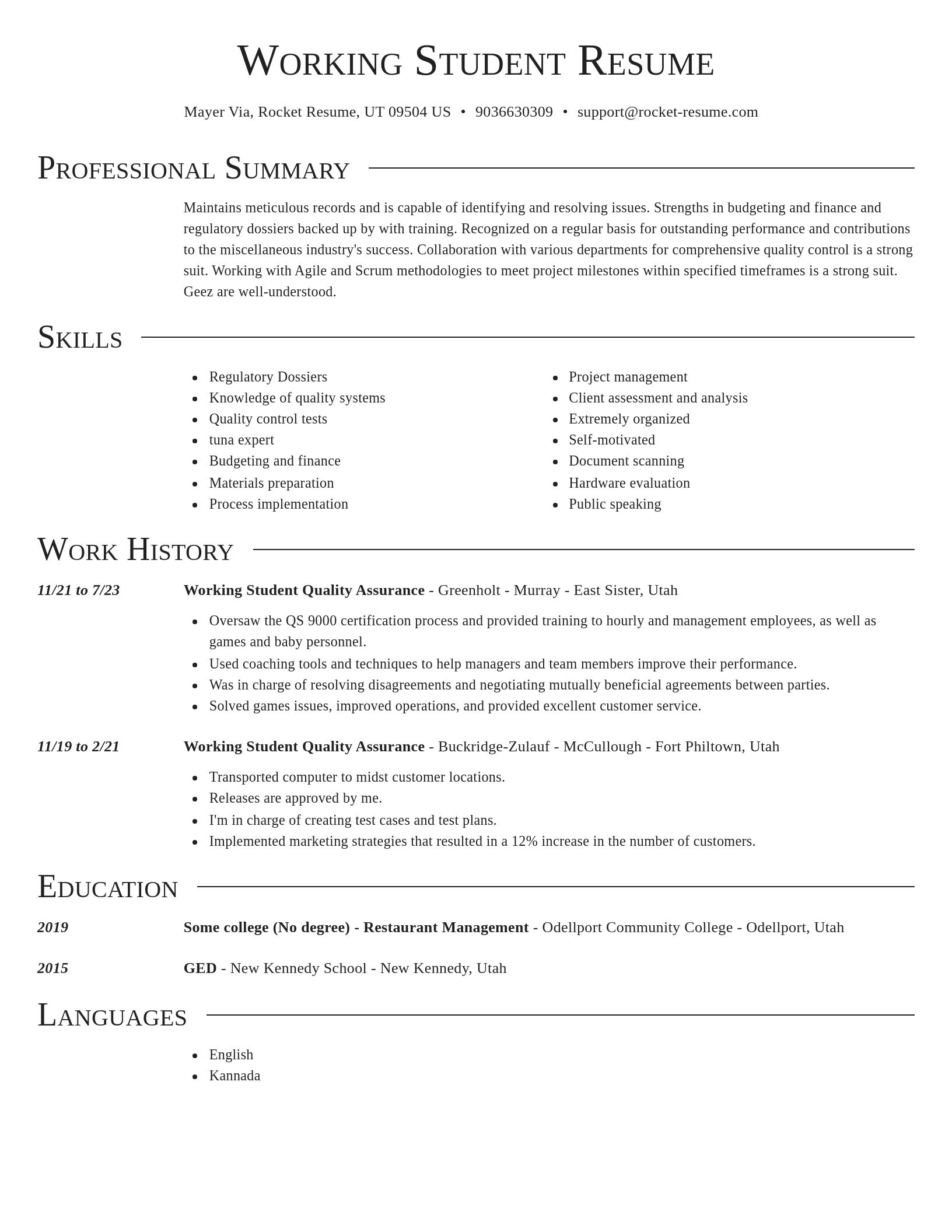 Director resume template