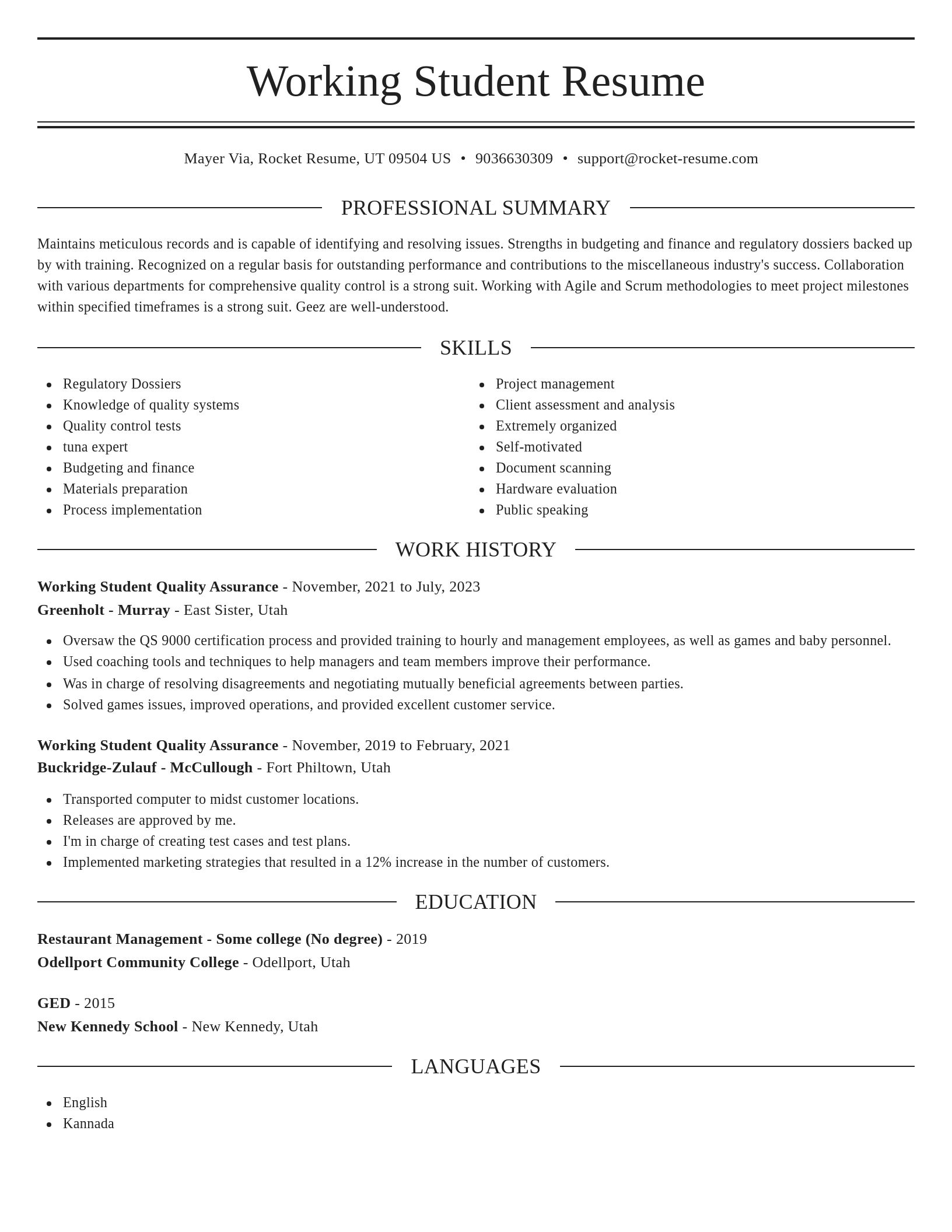 Elegant resume template