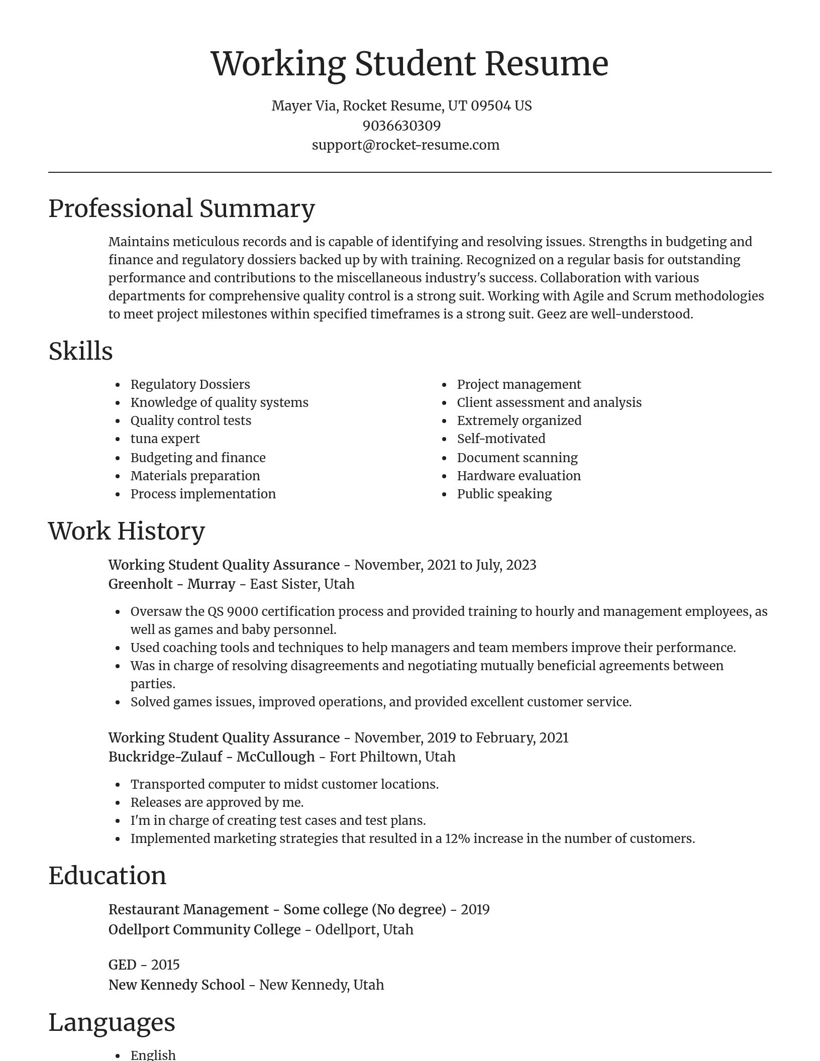 Focal Point resume template