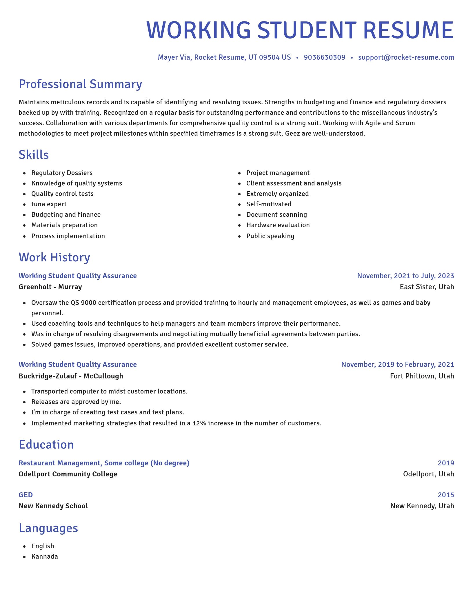 Novel resume template