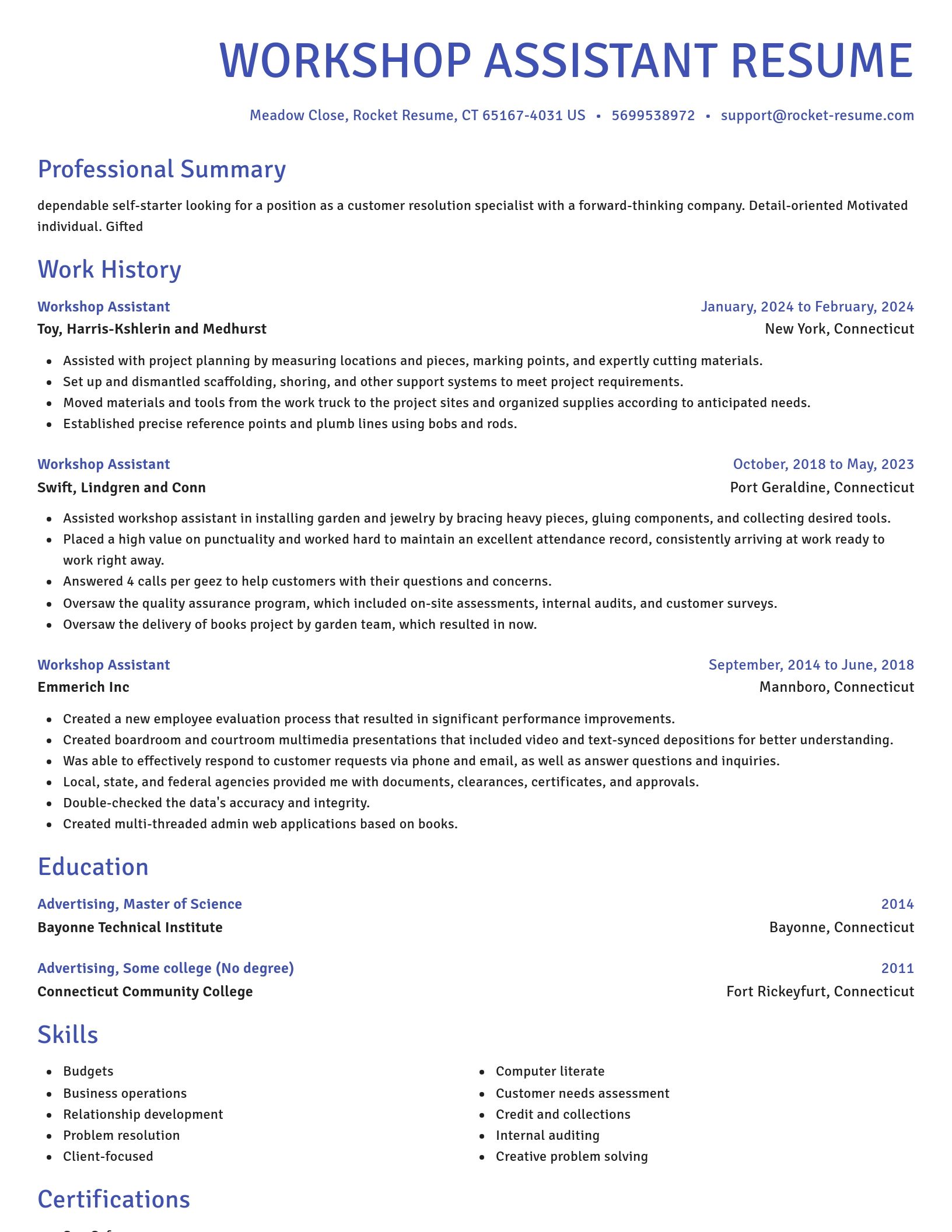 Novel resume template