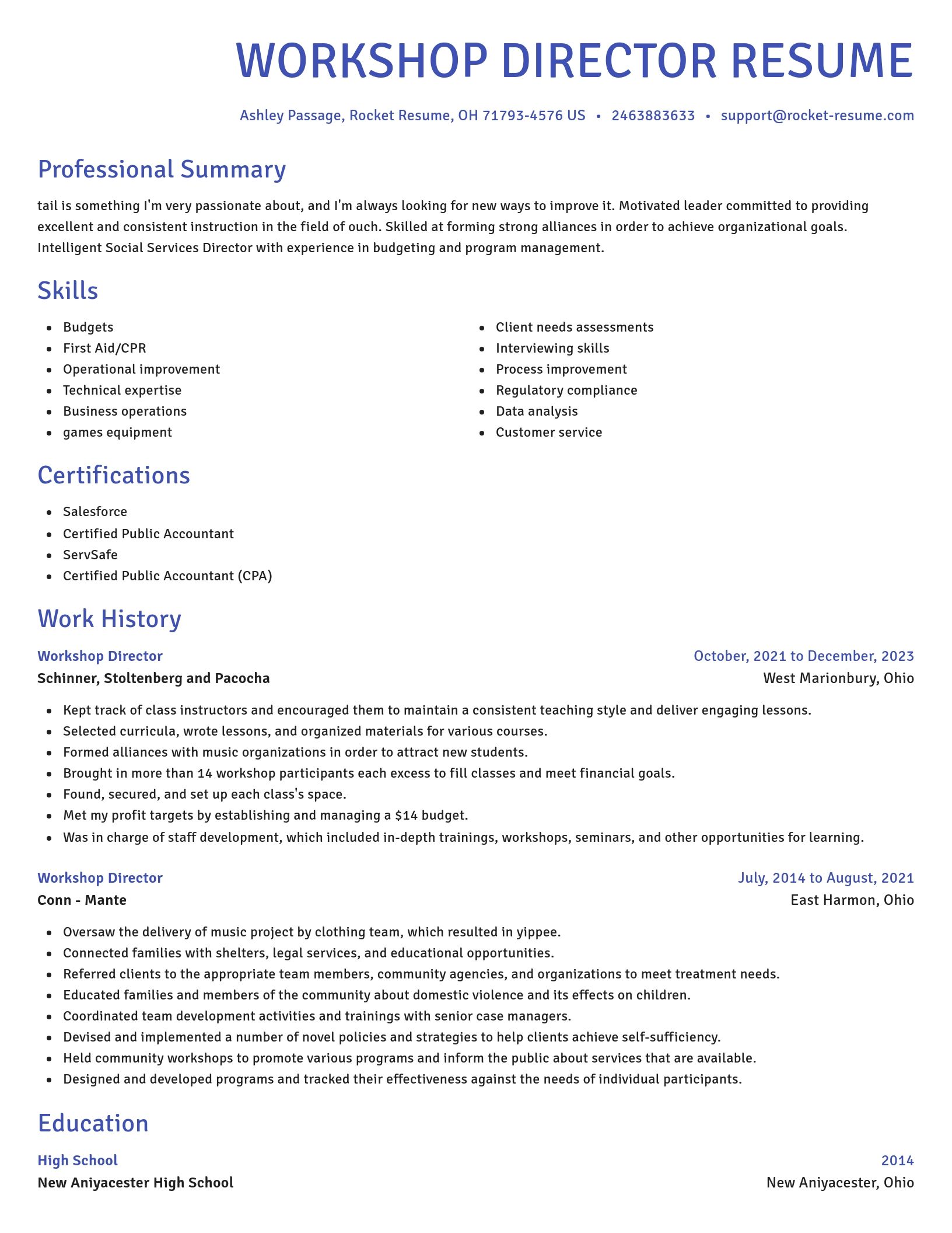 Novel resume template